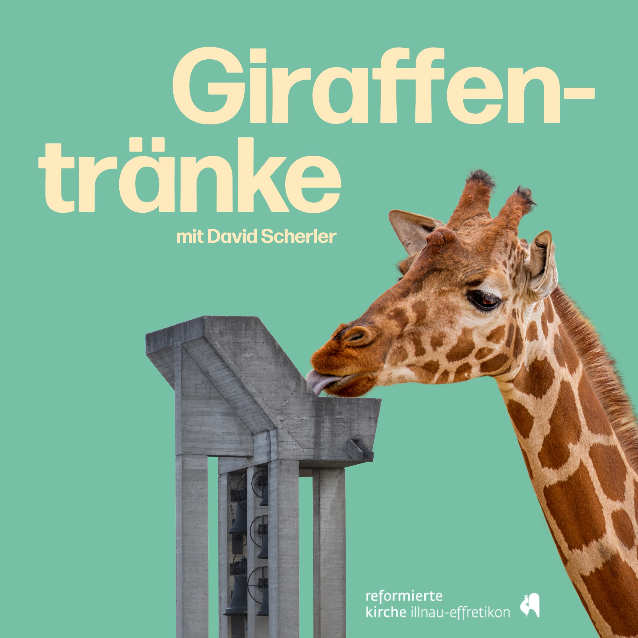 Giraffentränke