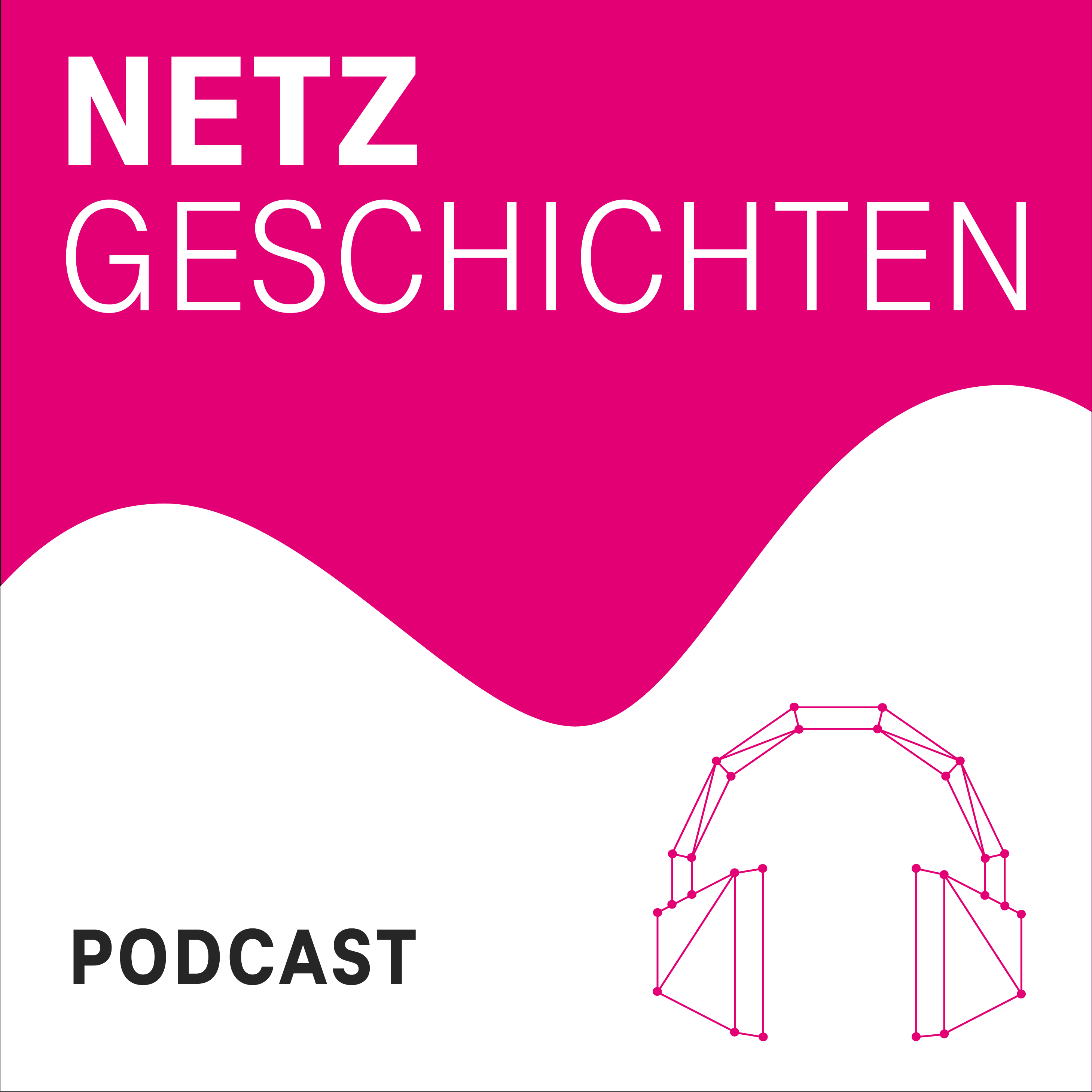 Netzgeschichten - Podcast