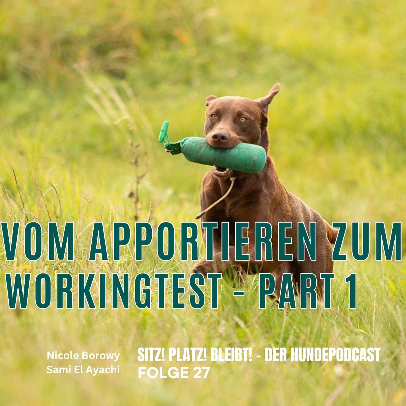 #27 Vom Apportieren zum Workingtest - Part 1