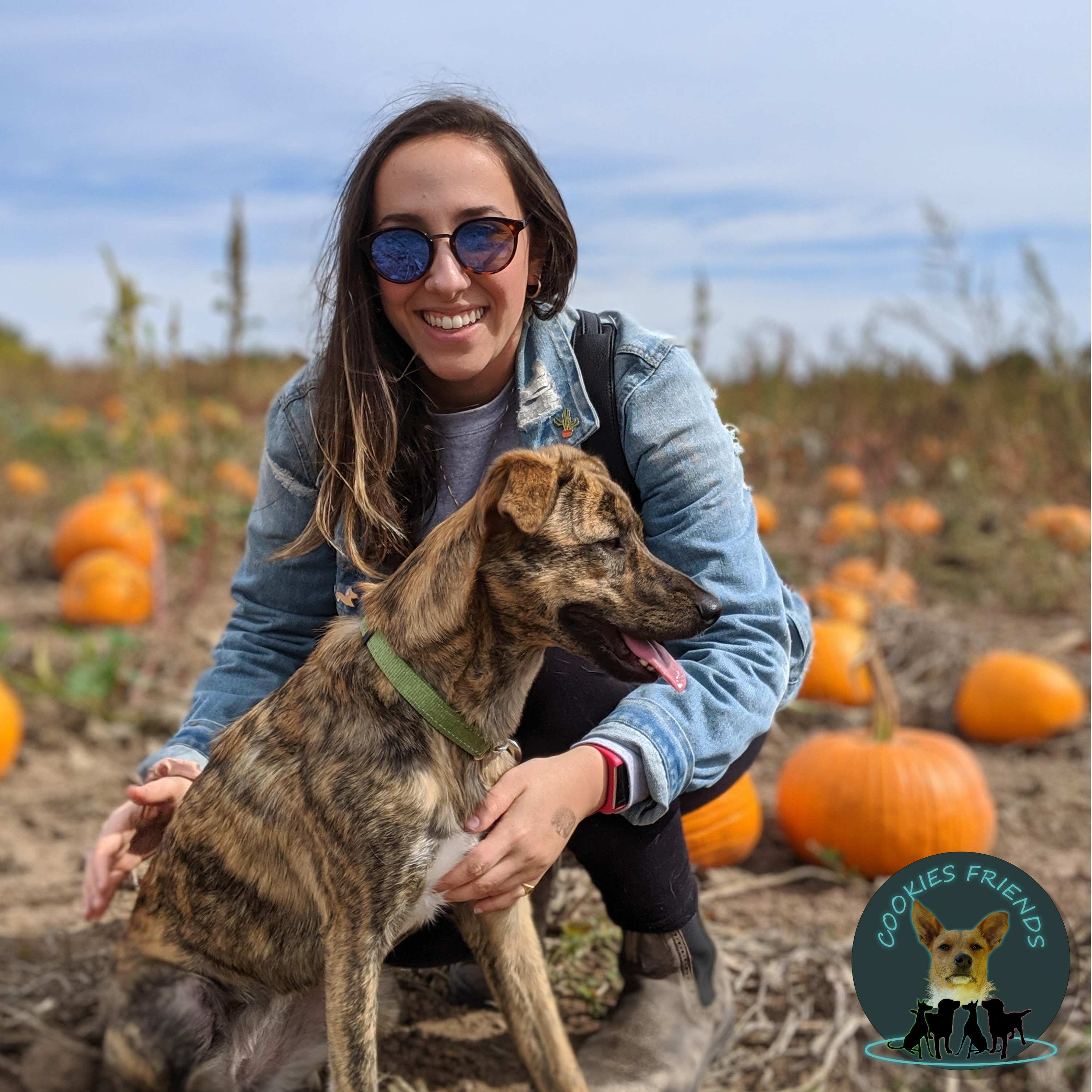 Cookies Friends. Der Podcast für Tierschutz-Hunde