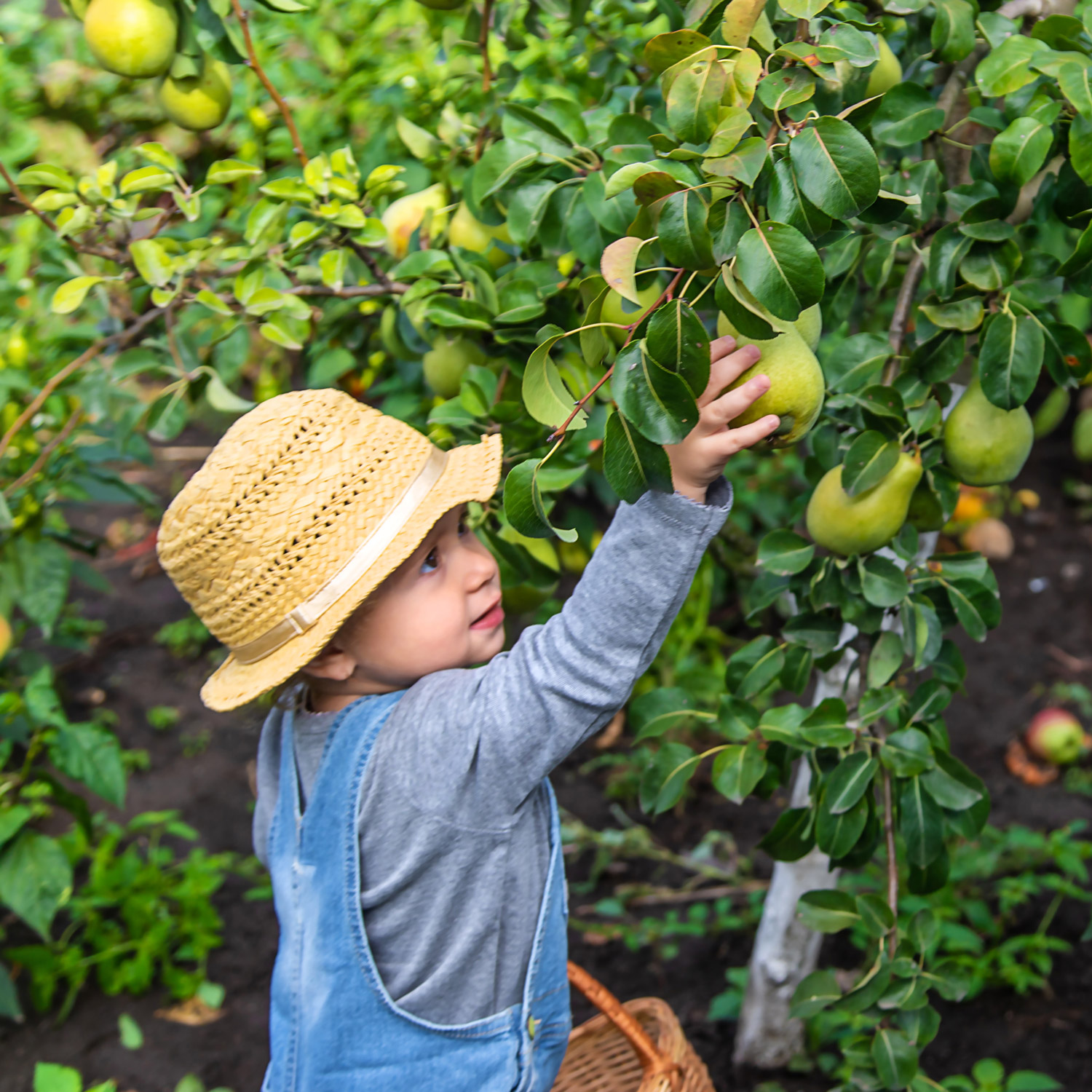 MYTHEN DER ERNÄHRUNG UND LEBENSSTILE