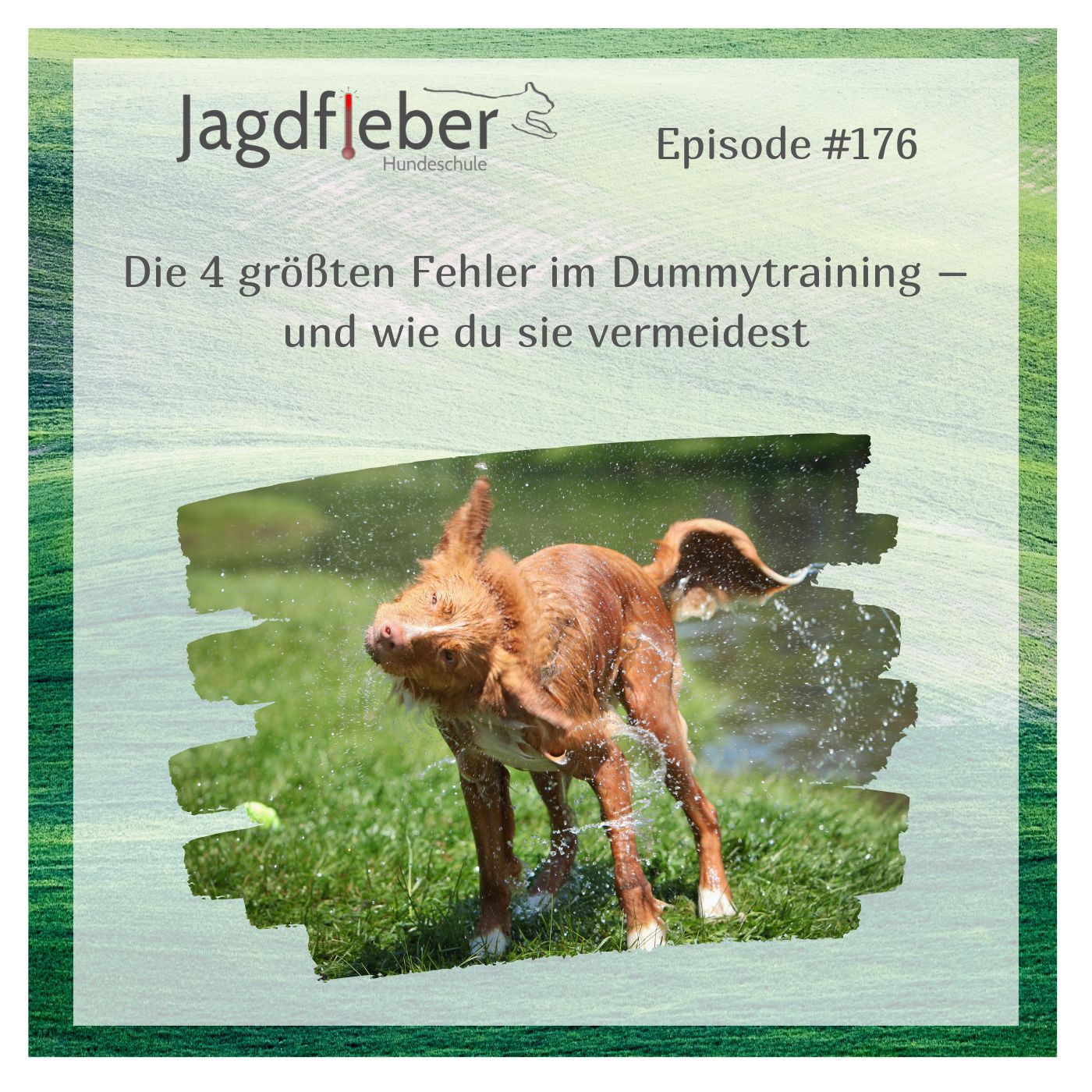 P176: Die 4 größten Fehler im Dummytraining – und wie du sie vermeidest episode artwork