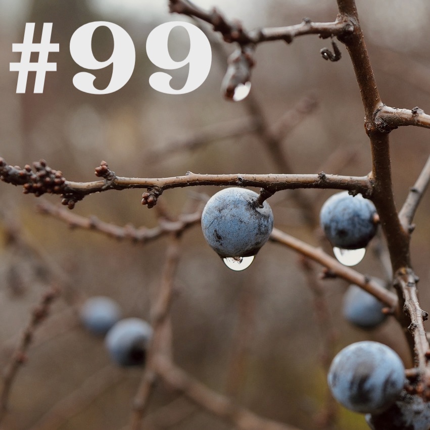 #99 - Schlehendorn - Heilsbringer für Mensch & Natur episode artwork