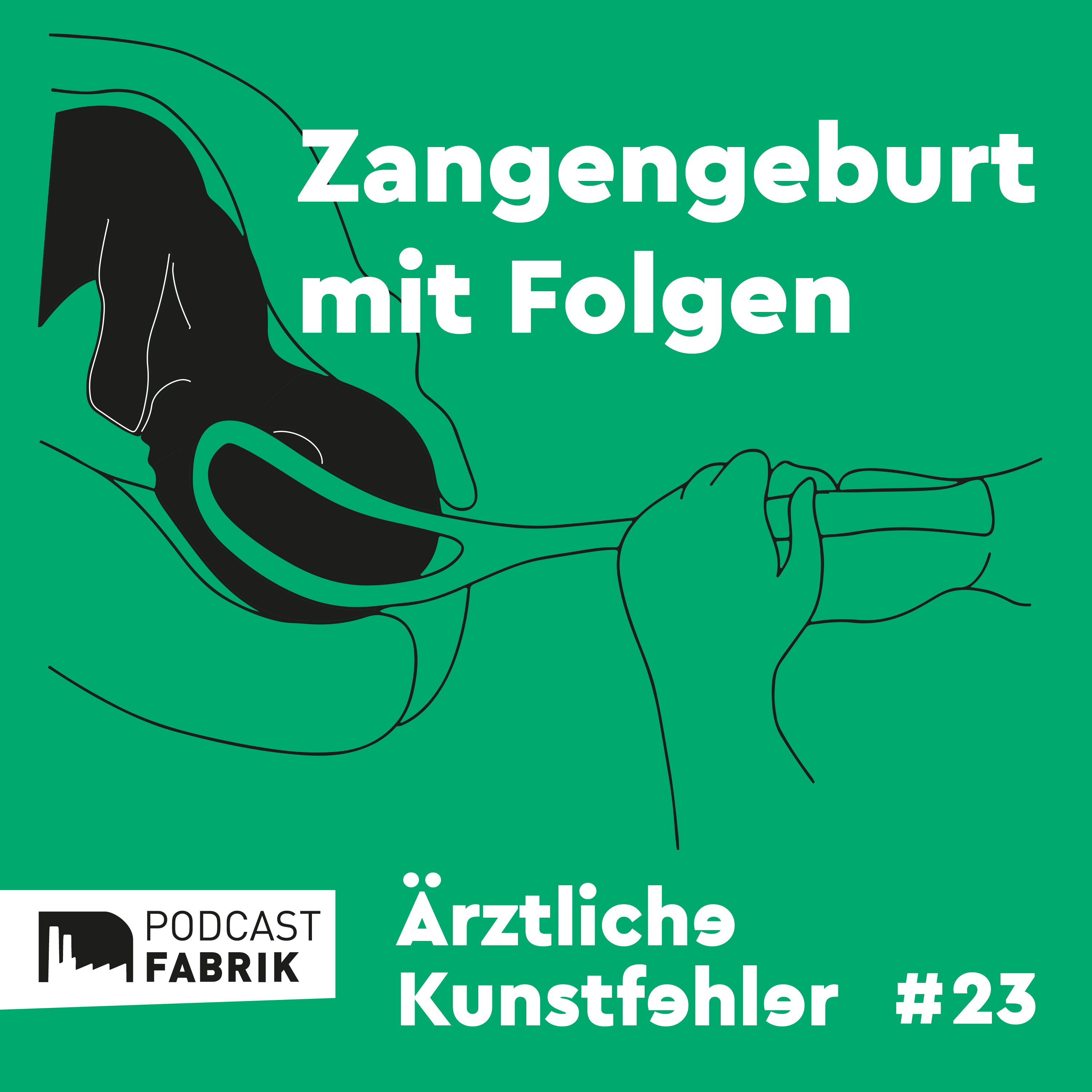Ärztliche Kunstfehler und andere Medizingeschichten