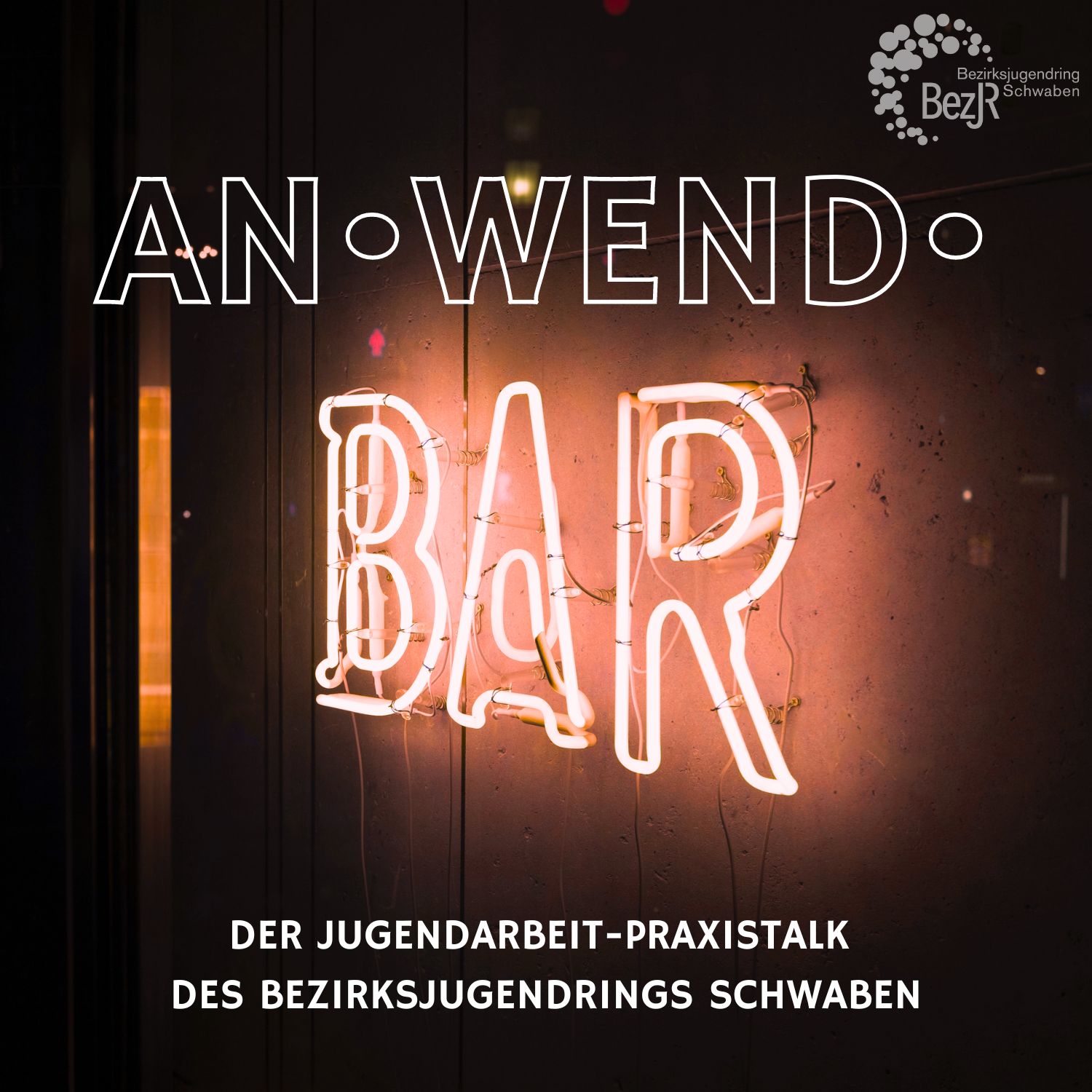 ANWENDBAR – Der Jugendarbeit-Praxistalk des Bezirksjugendrings Schwaben