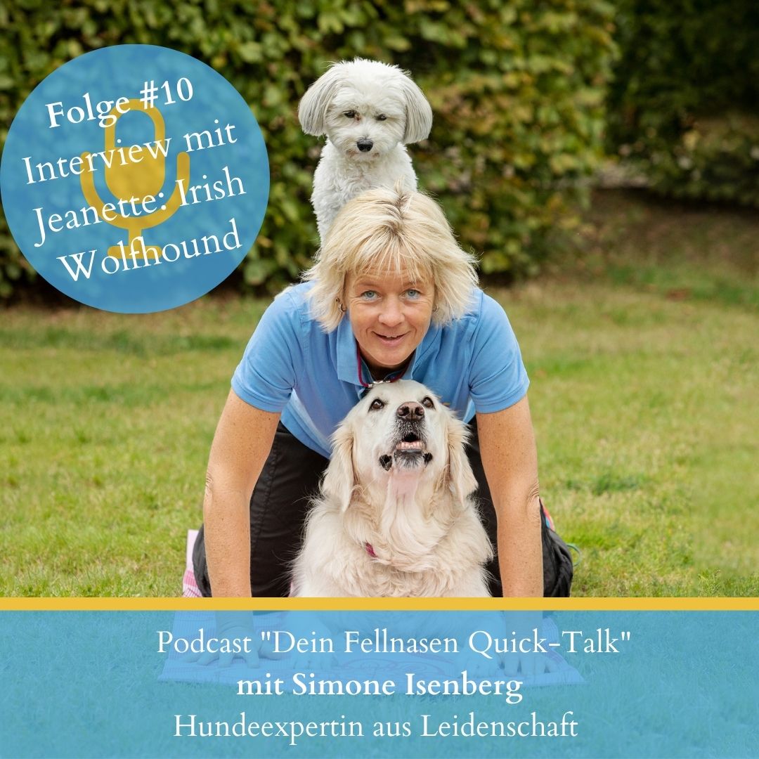 Dein Hunde Quicktalk - Dein Hundepodcast mit Leidenschaft