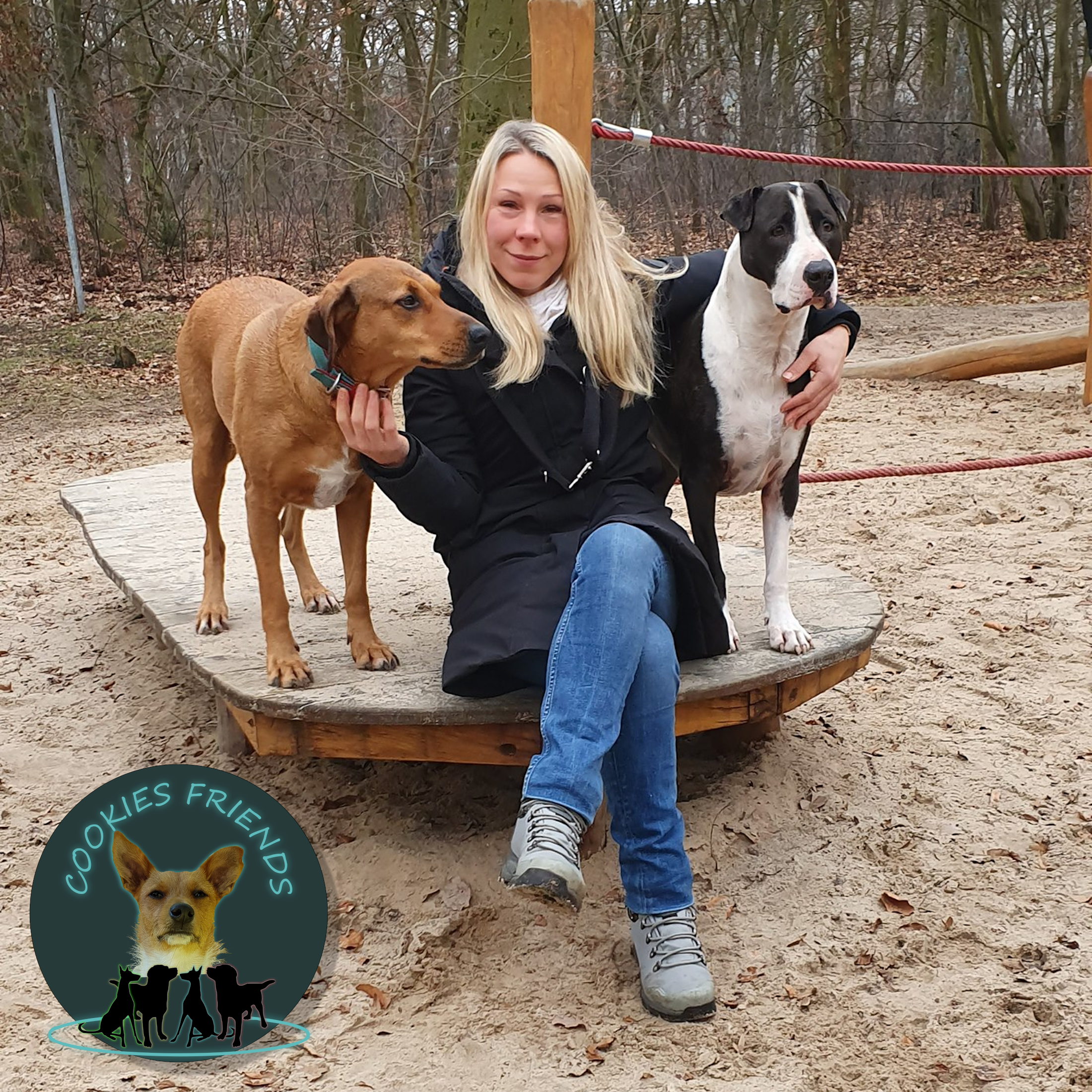 Cookies Friends. Der Podcast für Tierschutz-Hunde