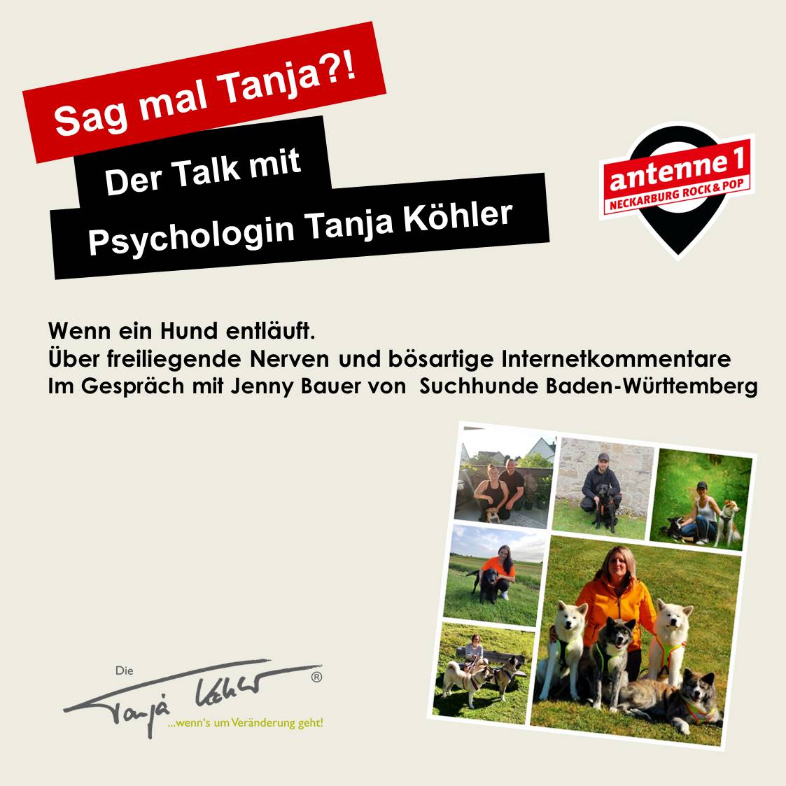 #158 - Wenn ein Hund entläuft. Über freiliegende Nerven und bösartige Internetkommentare