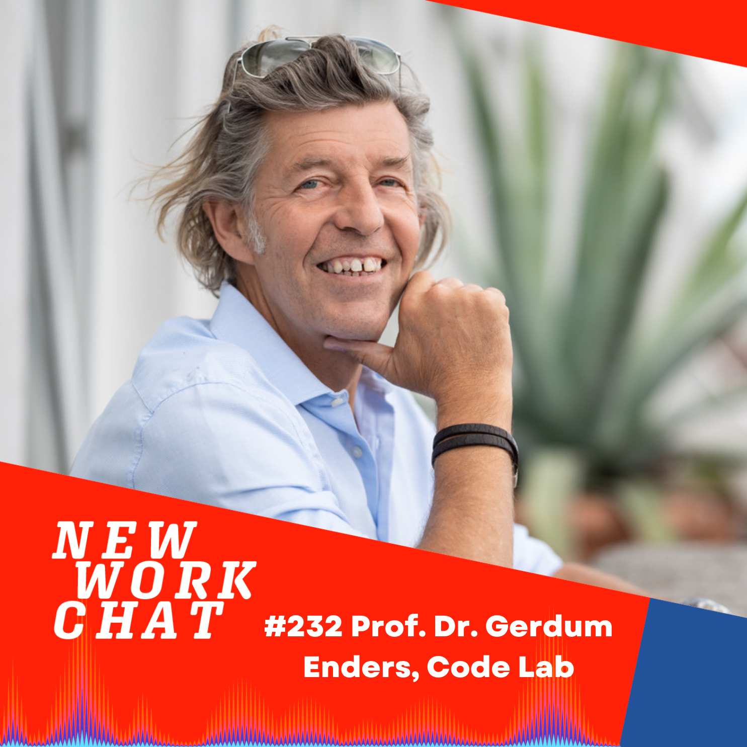 #232 Prof. Dr. Gerdum Enders: Wie du den Code deines Unternehmens entdeckst und dich neu positionierst episode artwork