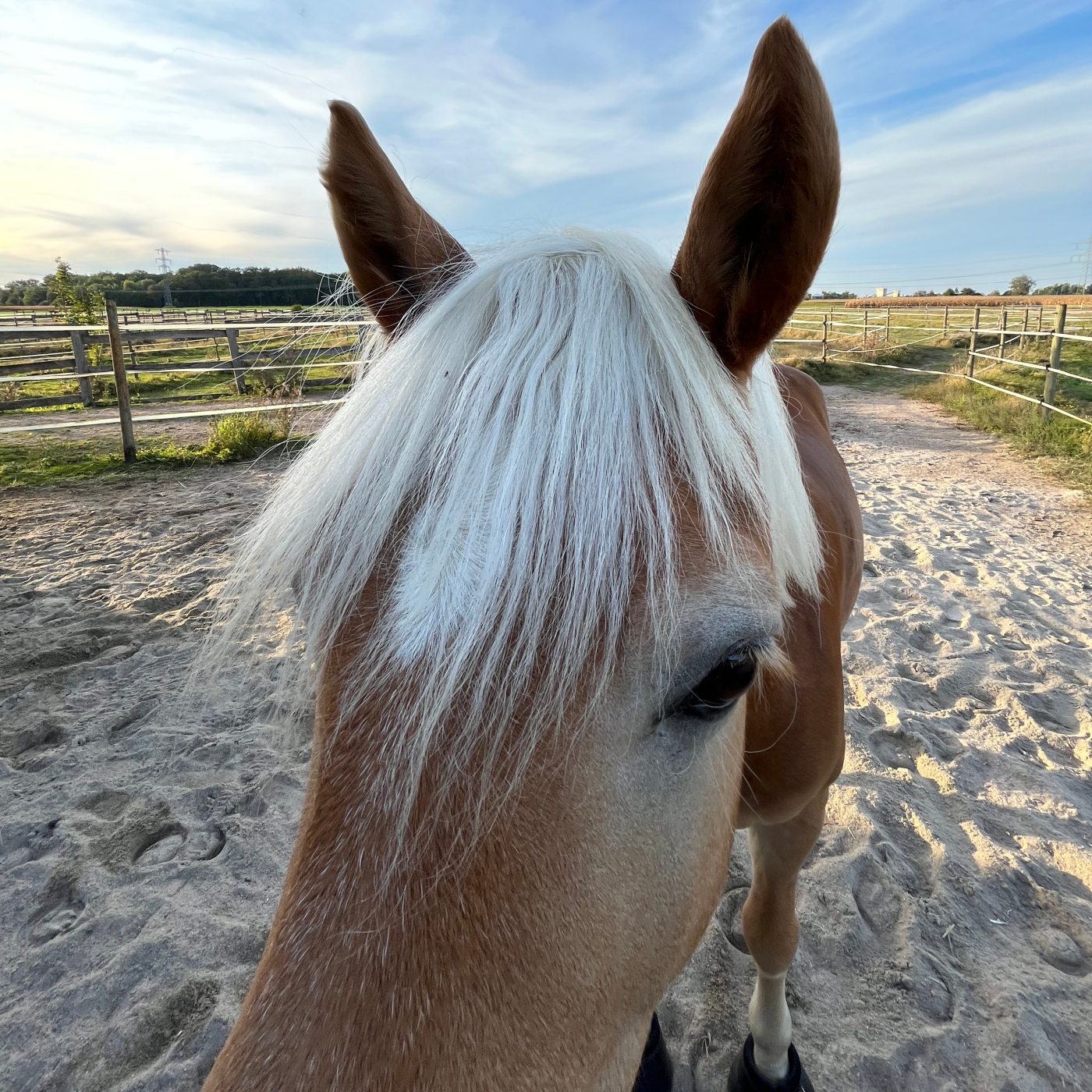 Episode 247 - Aquajogging (Teaser)