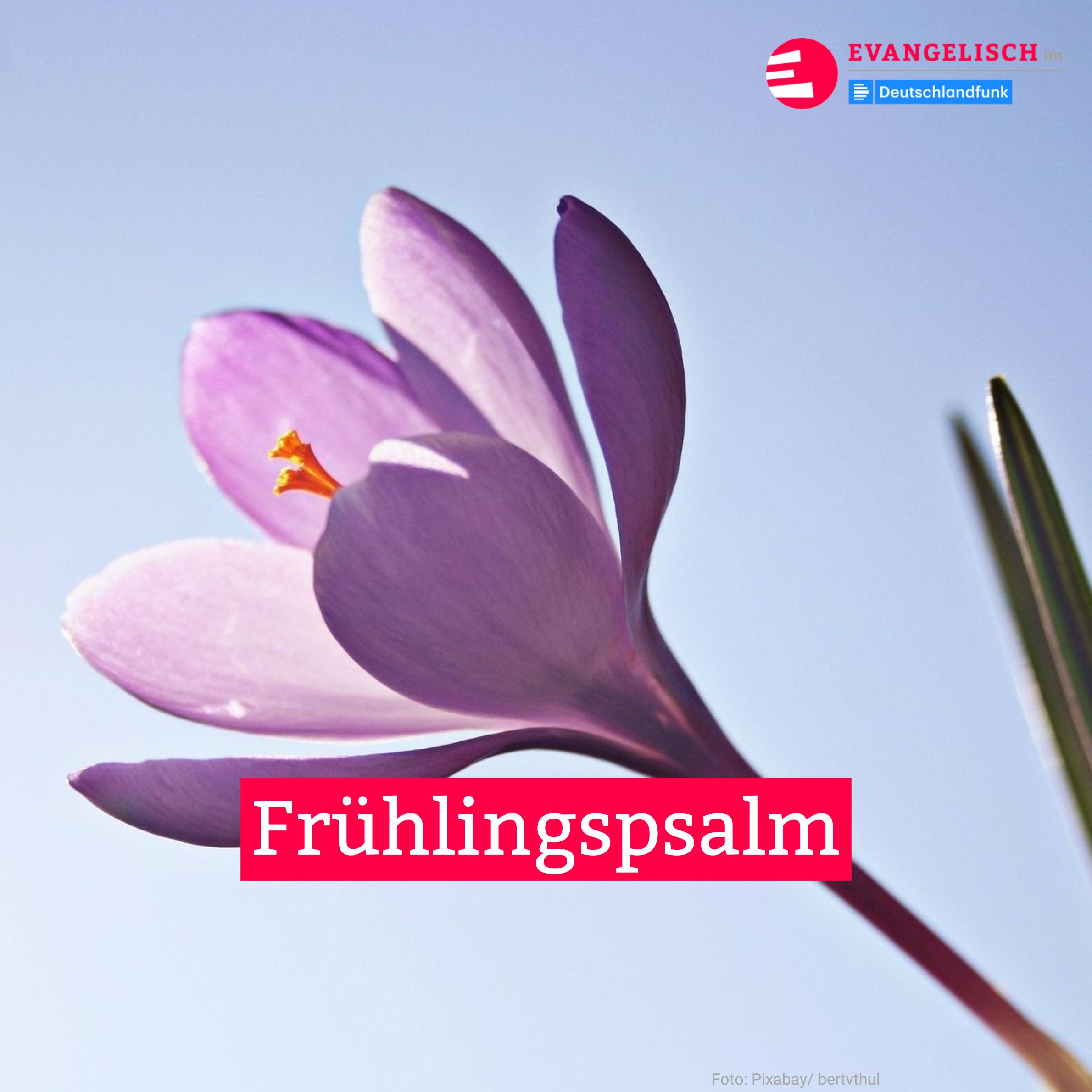 Frühlingspsalm