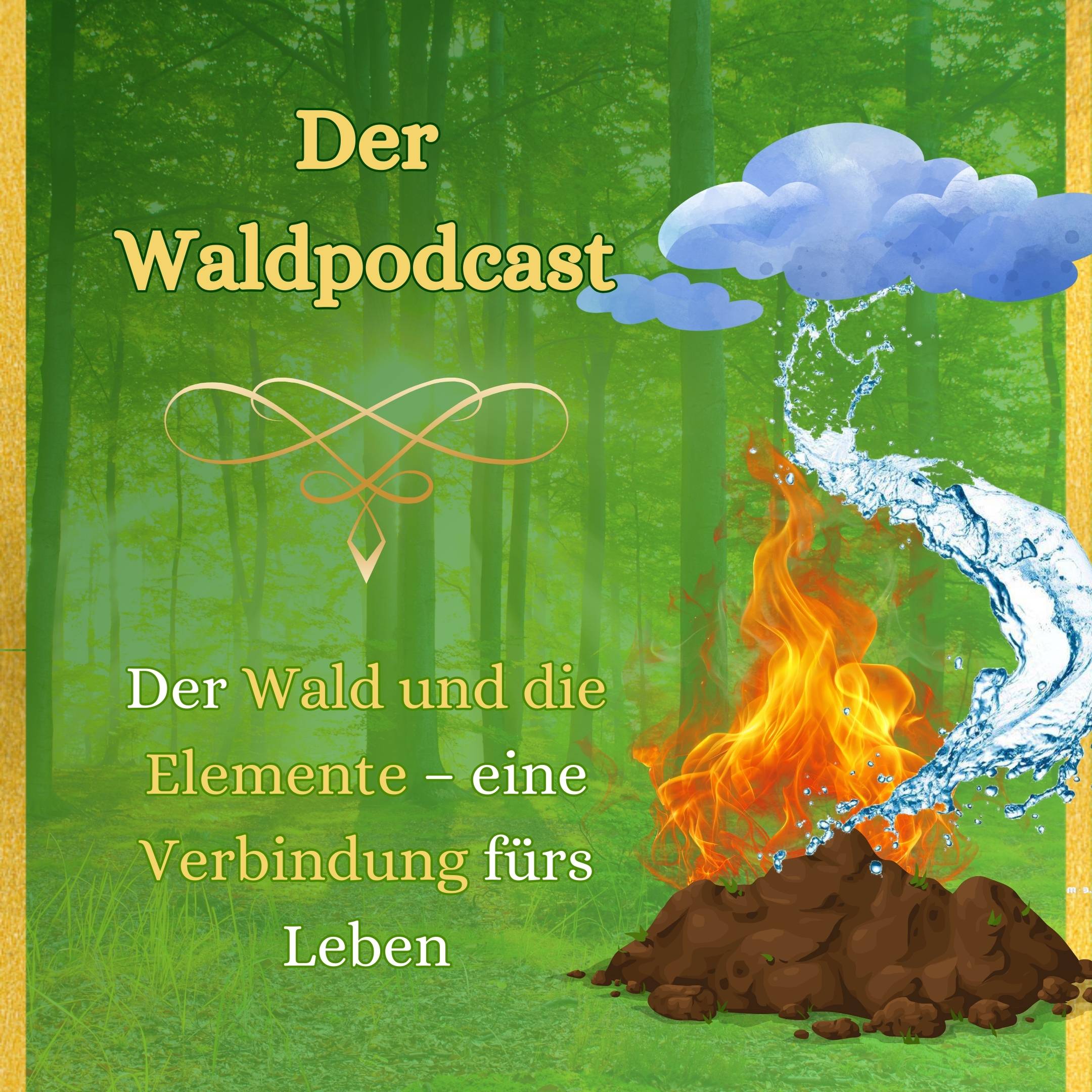Waldpodcast - für deine innere & äußere Natur