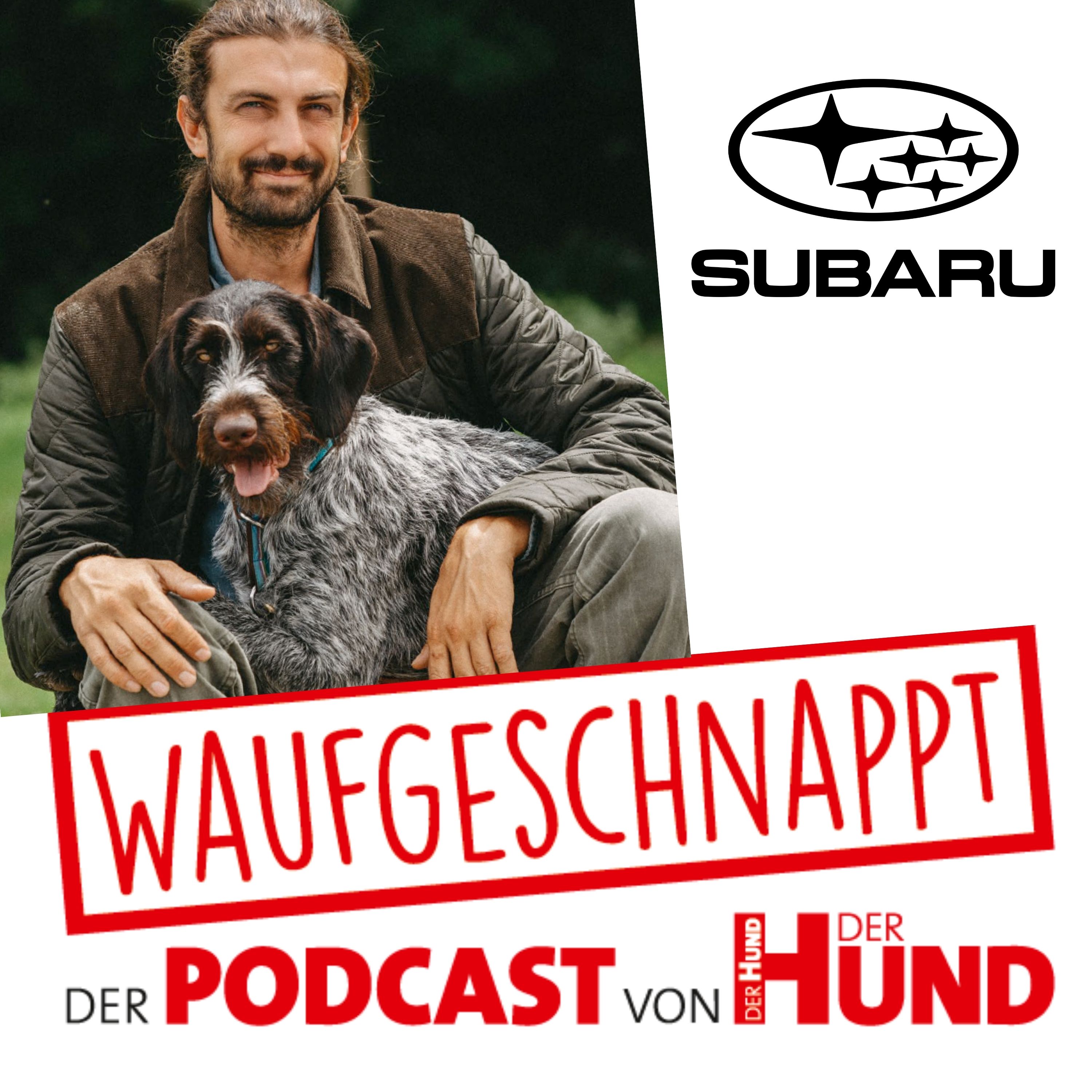 Familienhunde, Futterbelohnung & Ballwerferei - Michael Stähler episode artwork