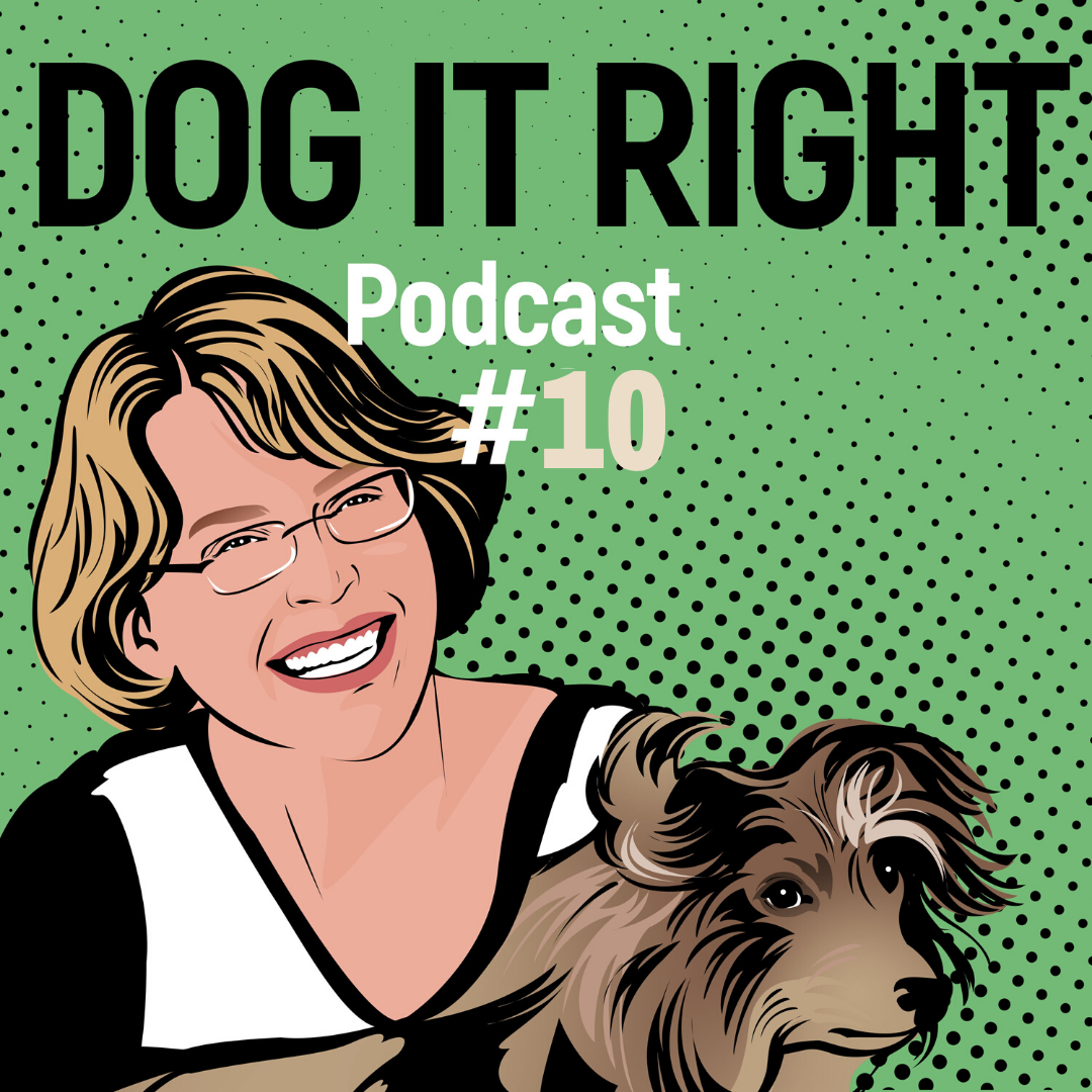 Dog It Right | Der Podcast für Hundemenschen