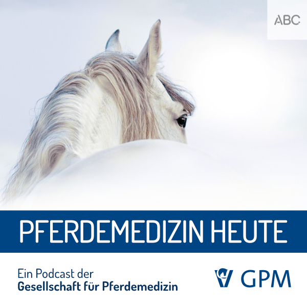 Pferdemedizin heute