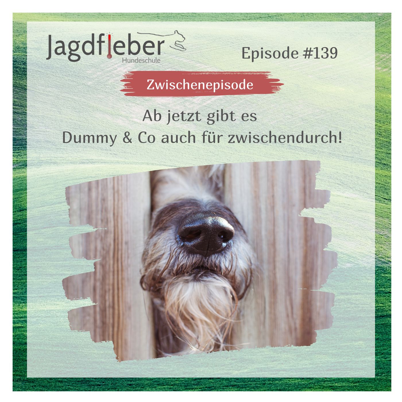 Dummy & Co