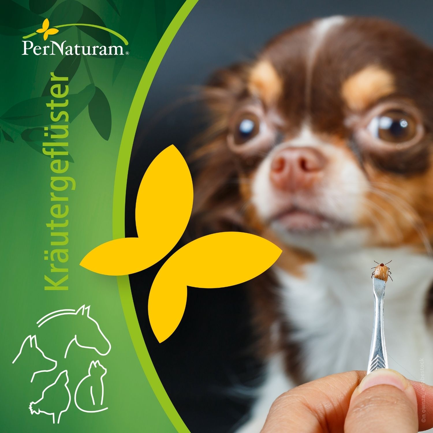 PerNaturam Kräutergeflüster