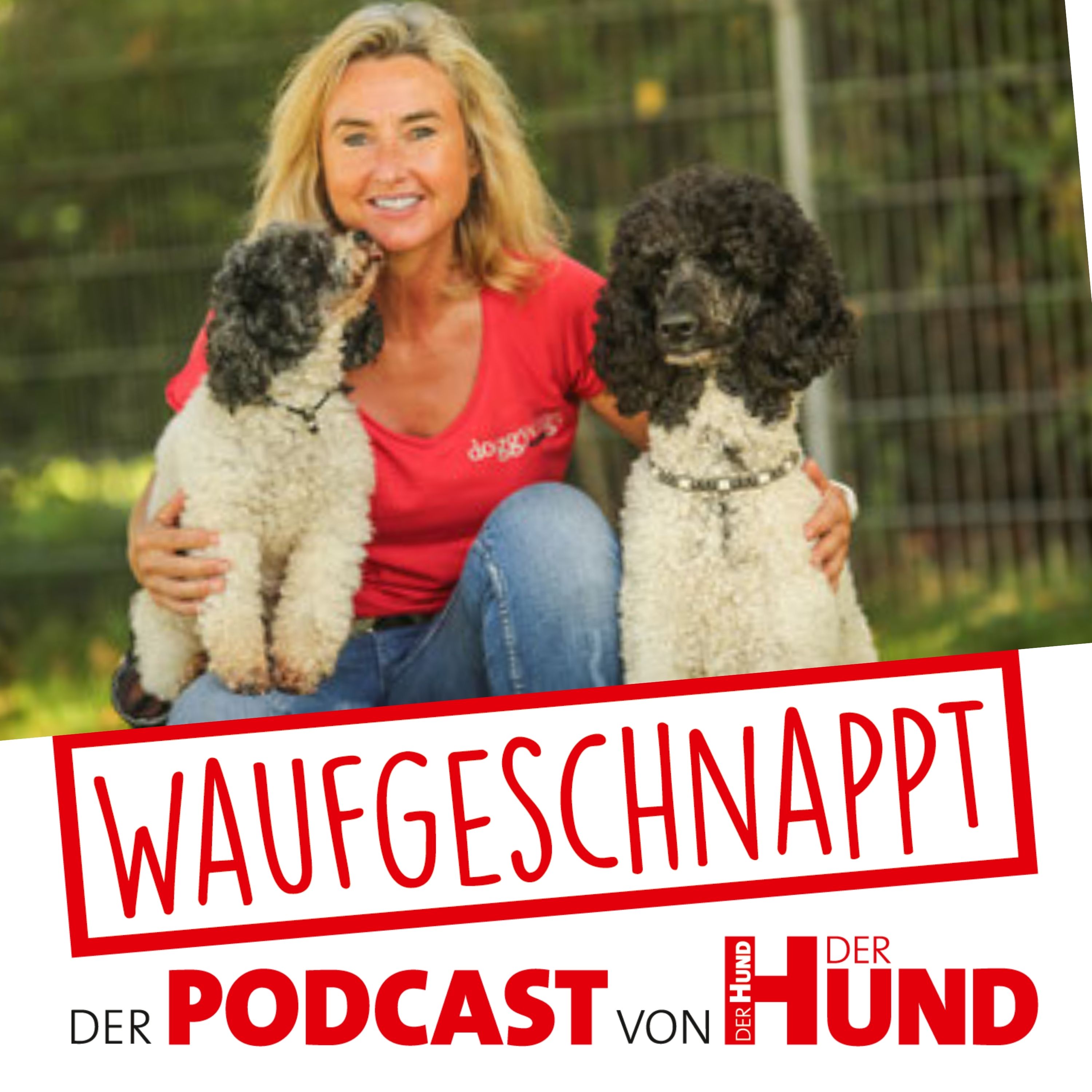 Waufgeschnappt - der Podcast von DER HUND