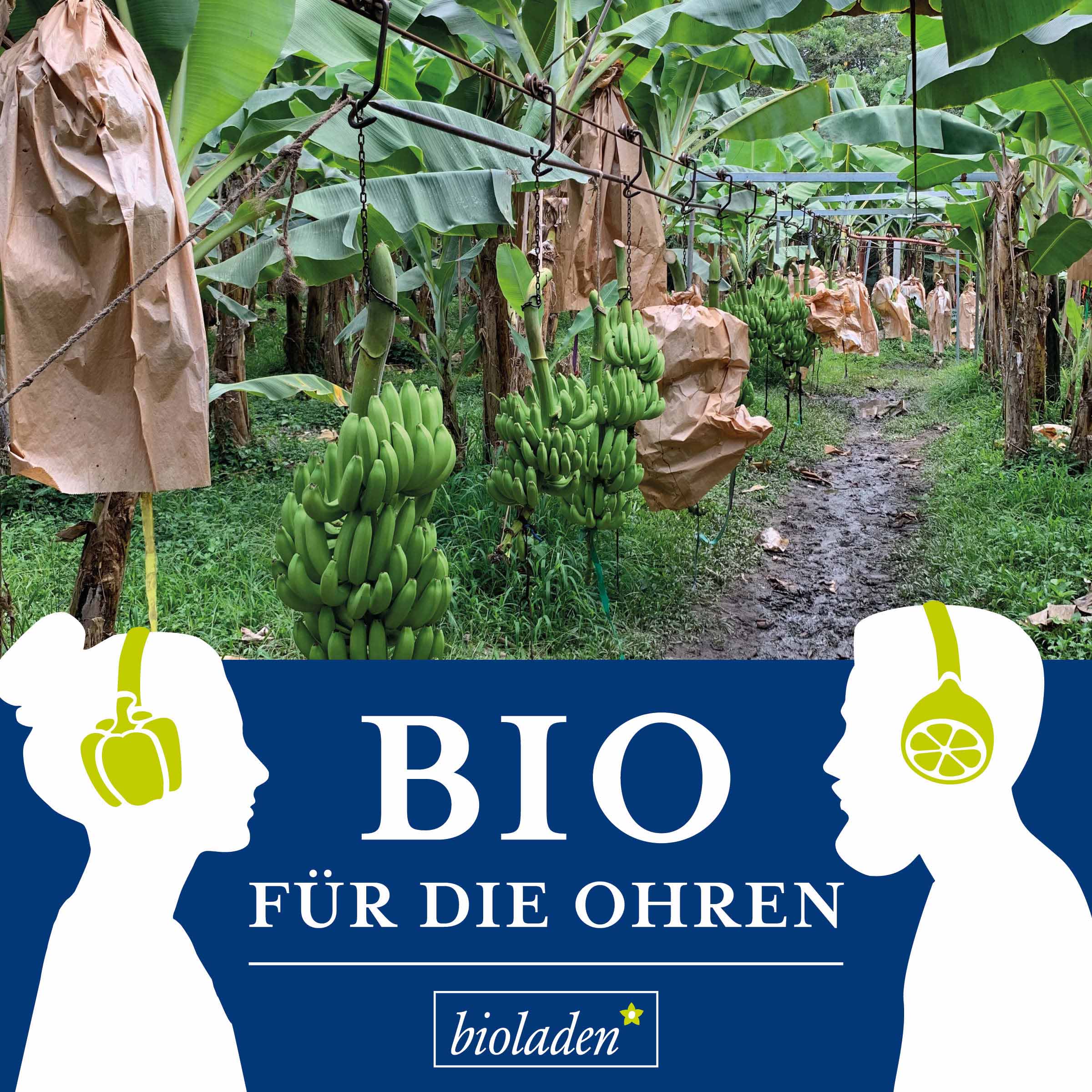 Bio für die Ohren