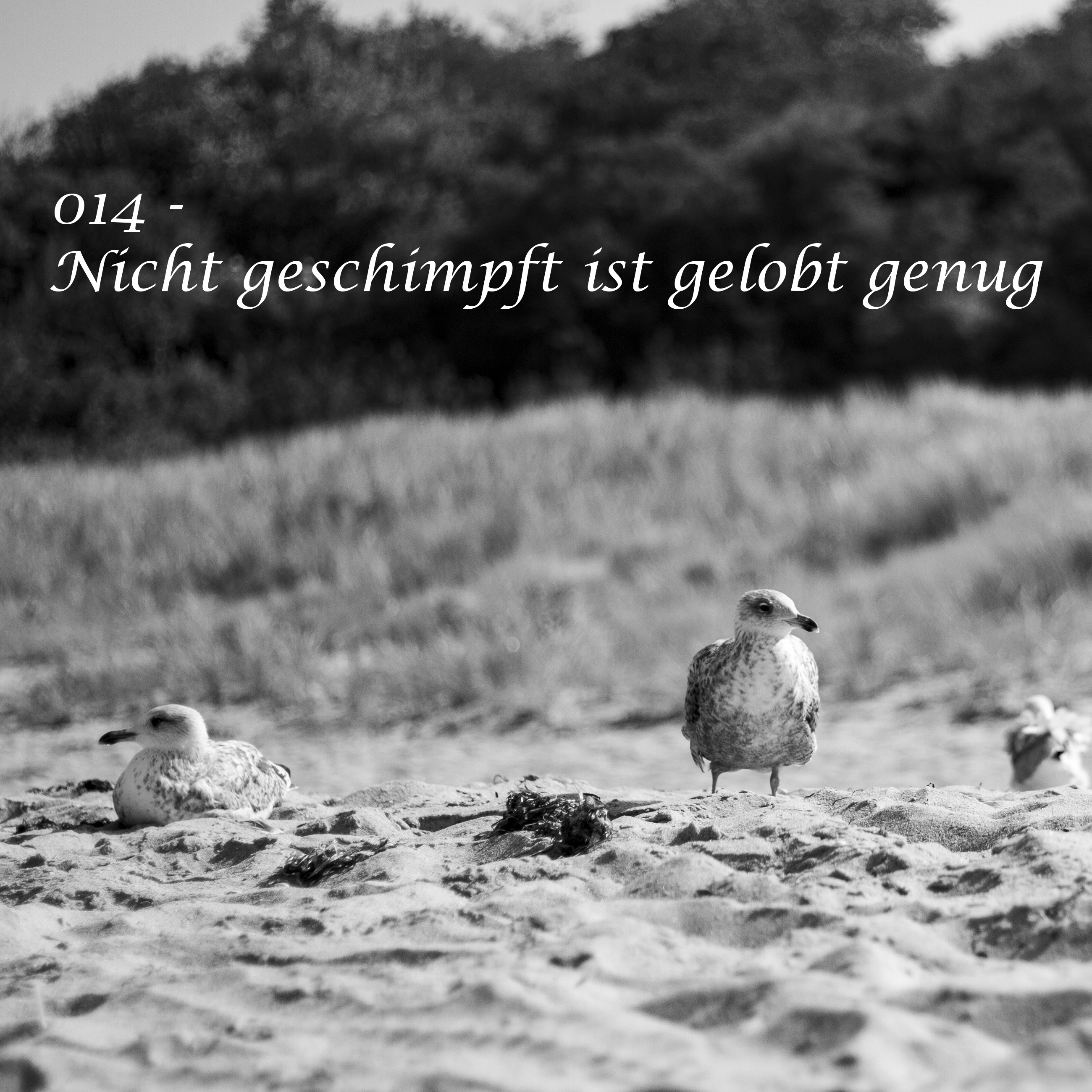 Artikel Eins