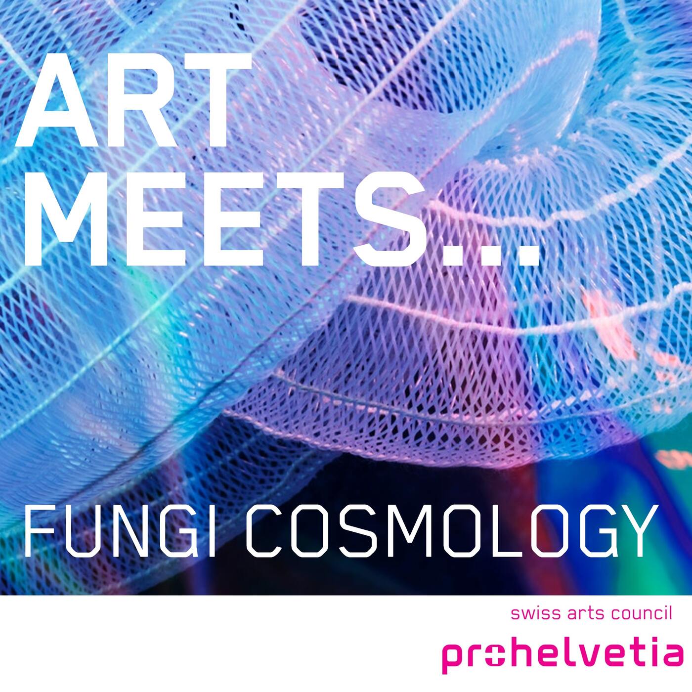 Fungi Cosmology (3/3): A question of perspective