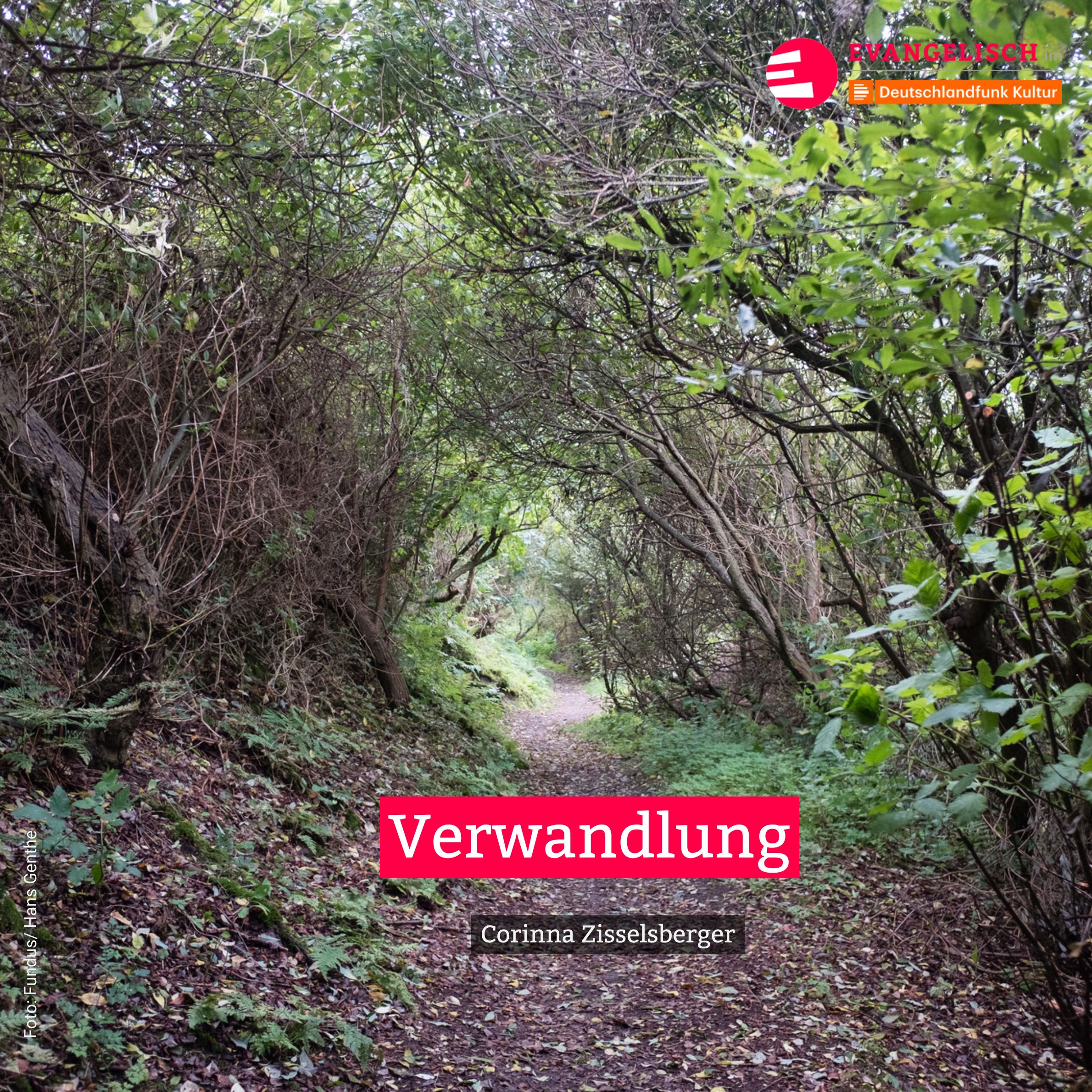 Verwandlung