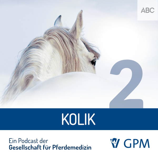 Pferdemedizin heute