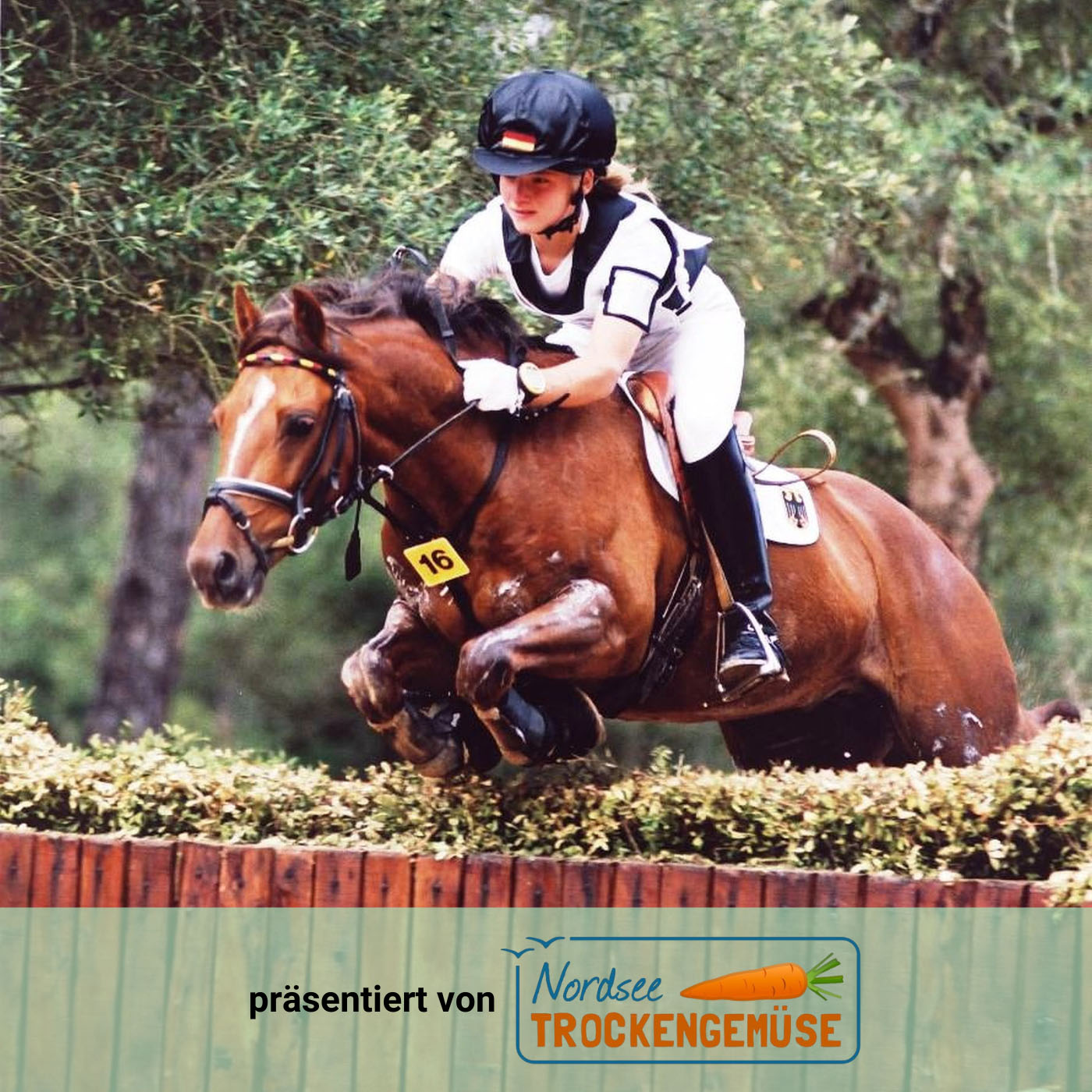 Julis Eventer Podcast