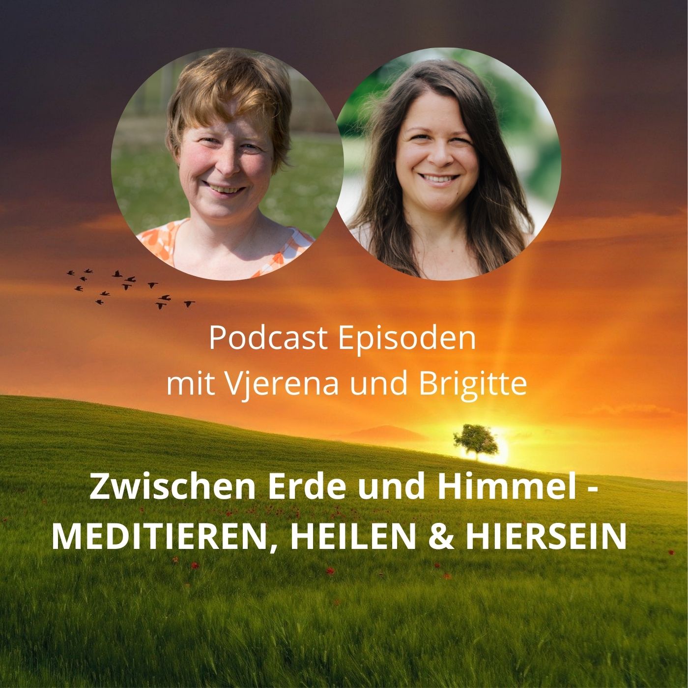 Zwischen Erde und Himmel - meditieren, heilen und hiersein