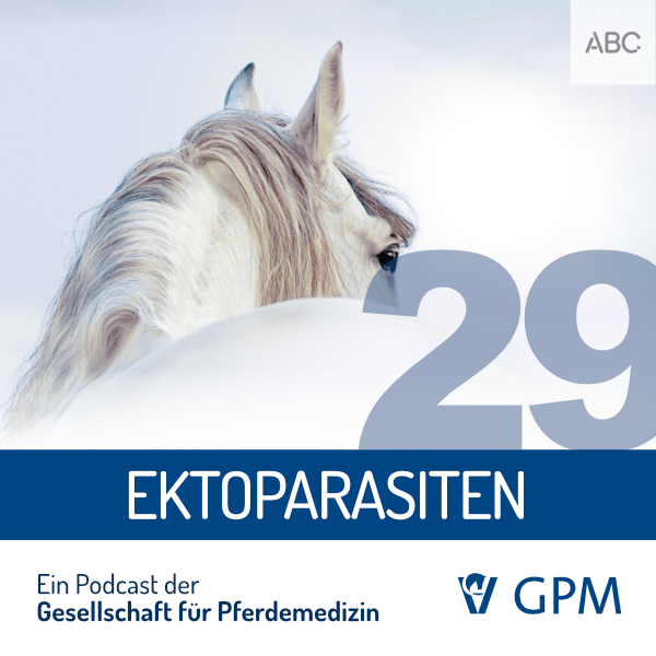 Pferdemedizin heute