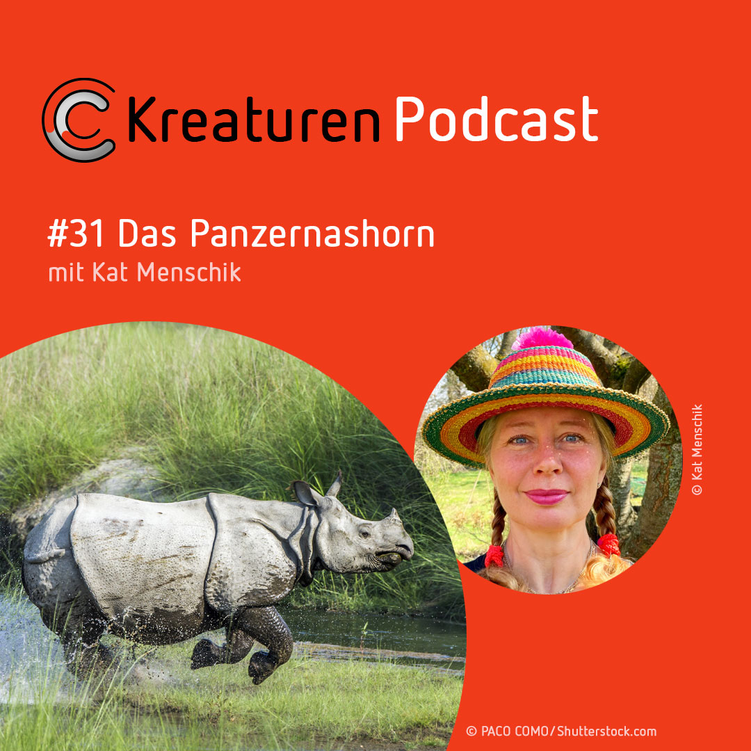 Kreaturen-Podcast – Folge 31: Das Panzernashorn mit Kat Menschik episode artwork