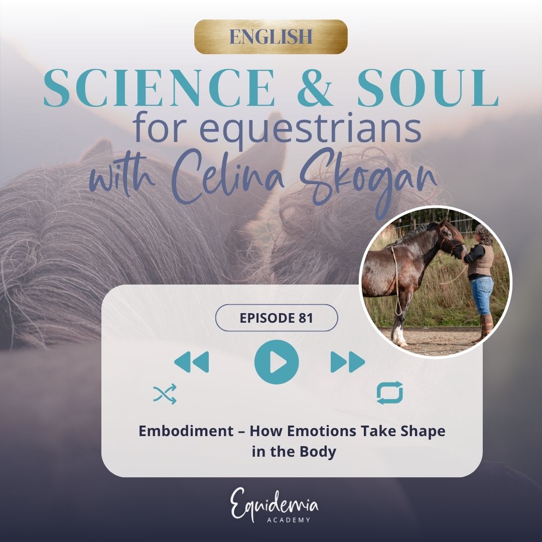 Horsefriends international