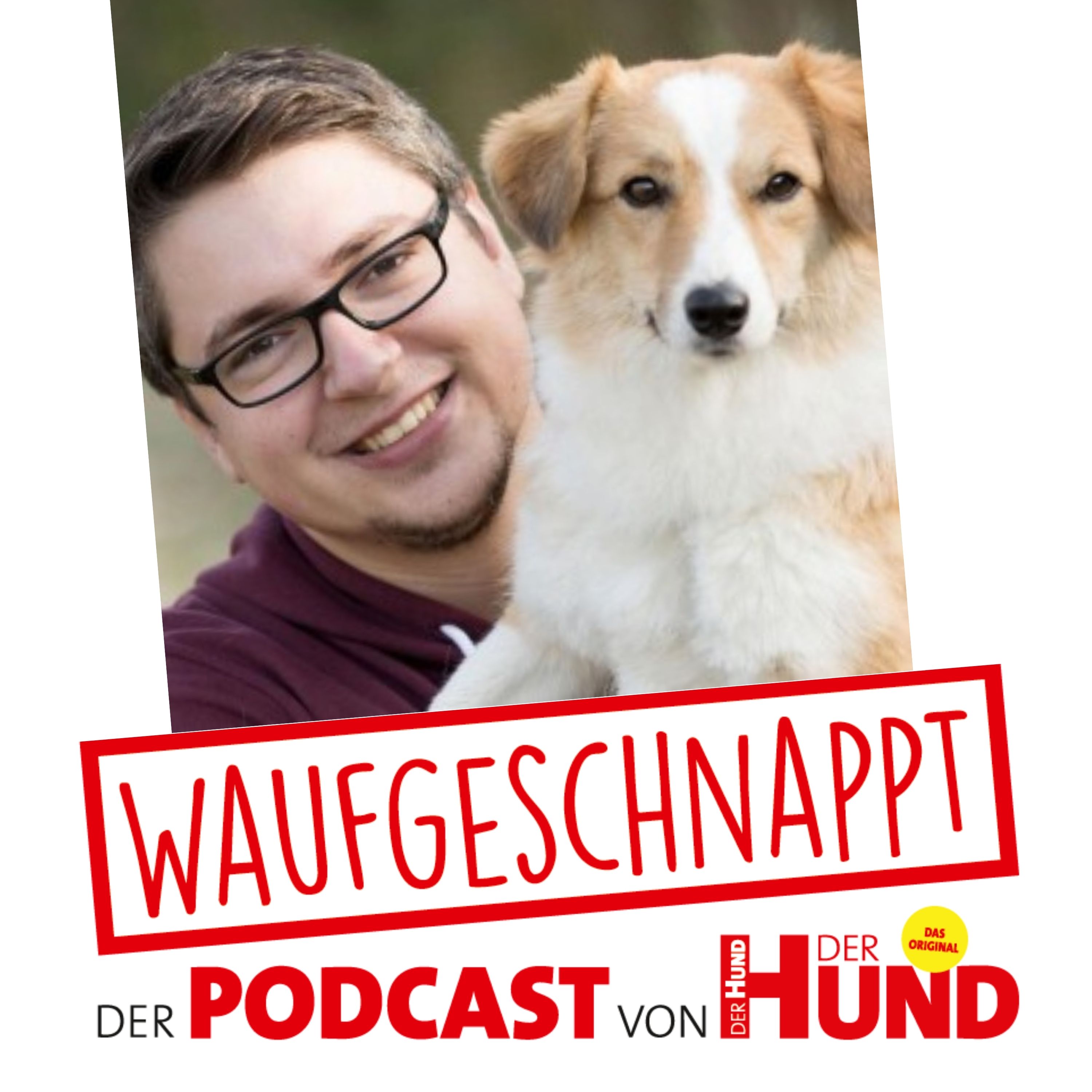 Waufgeschnappt - der Podcast von DER HUND