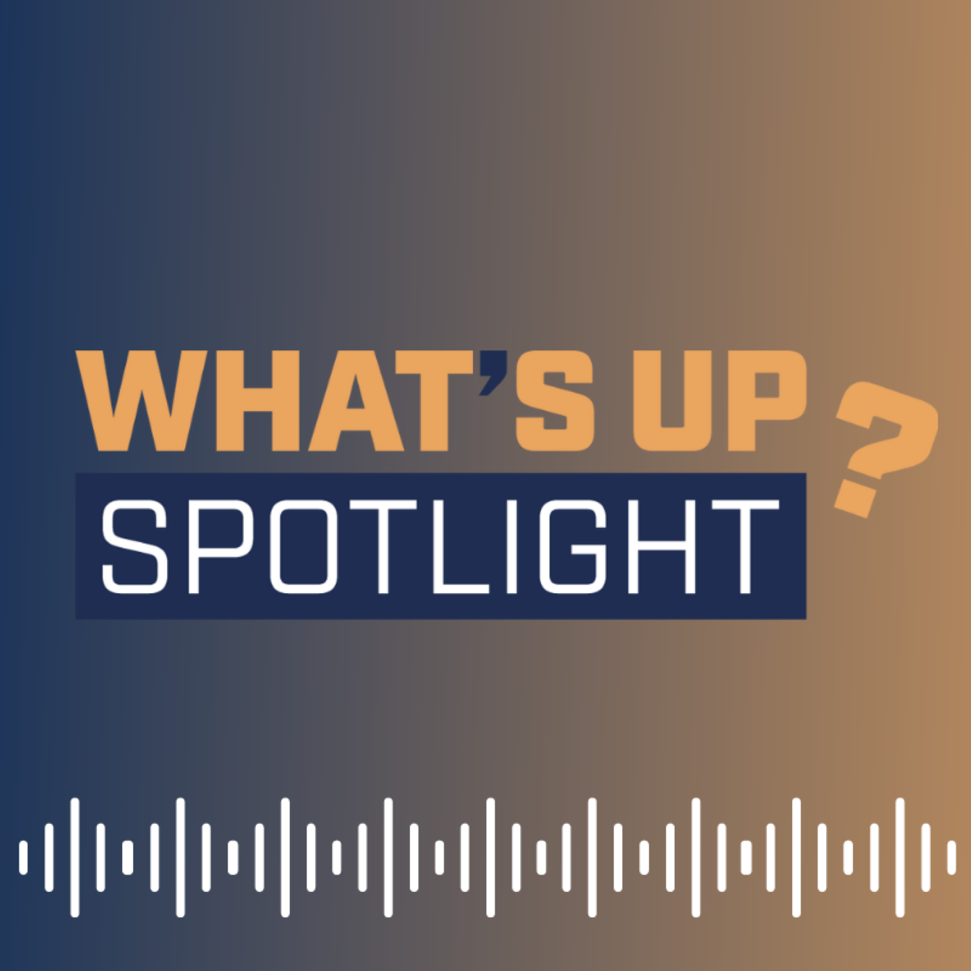 SPOTLIGHT #91: Wie Private Equity von der Klimatransformation profitiert episode artwork