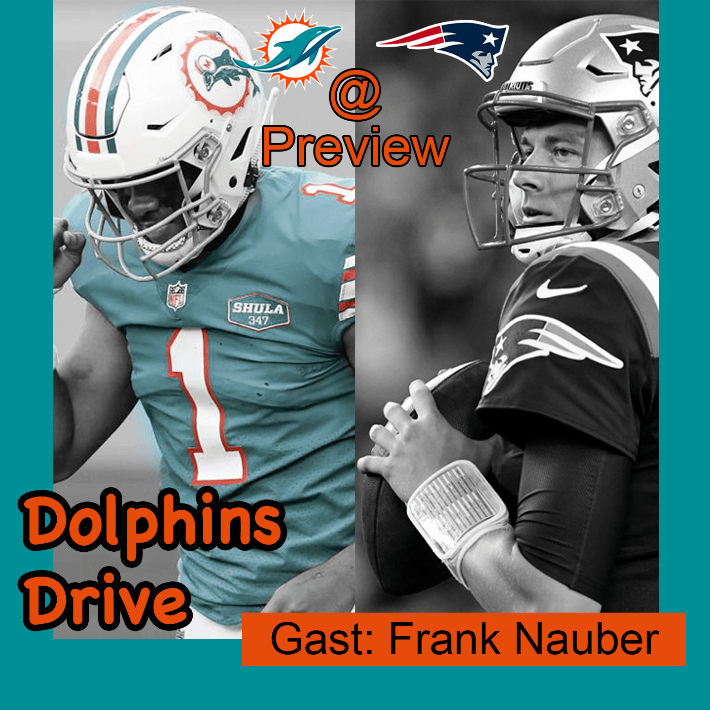 Dolphins Drive