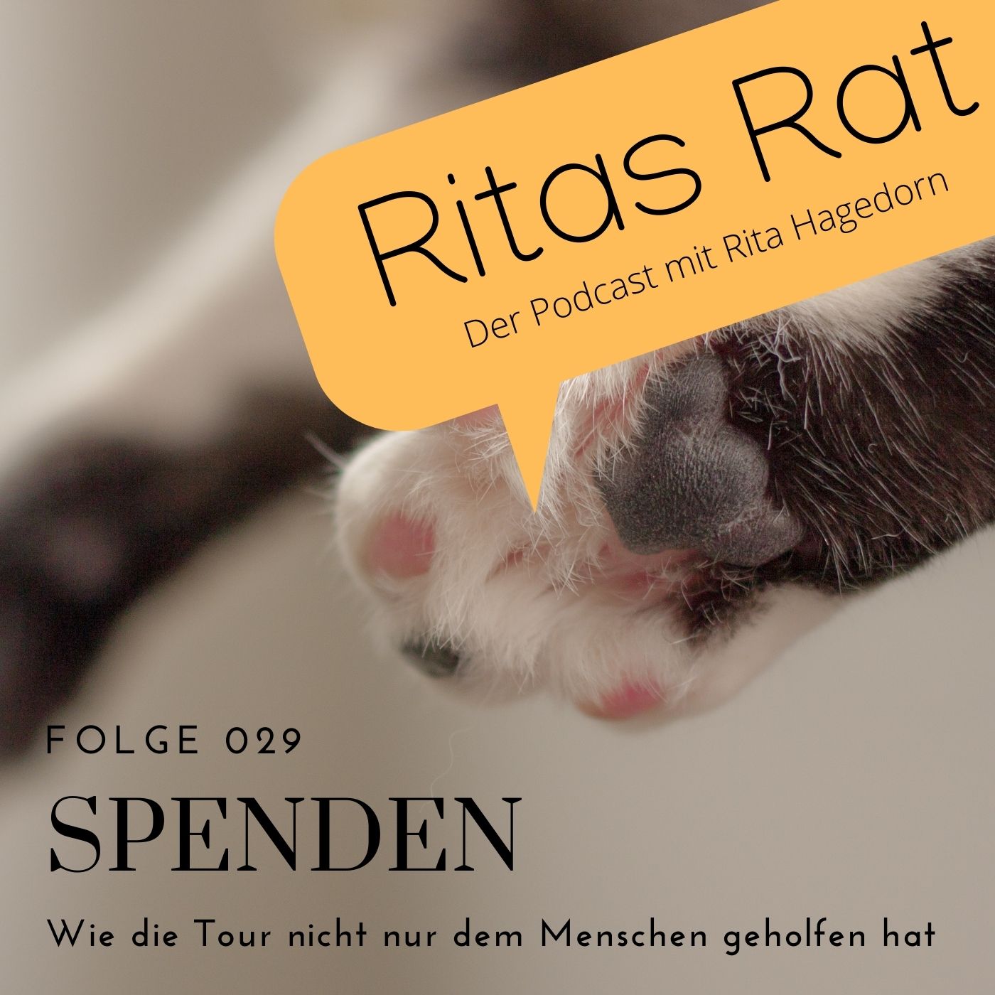 Ritas Rat