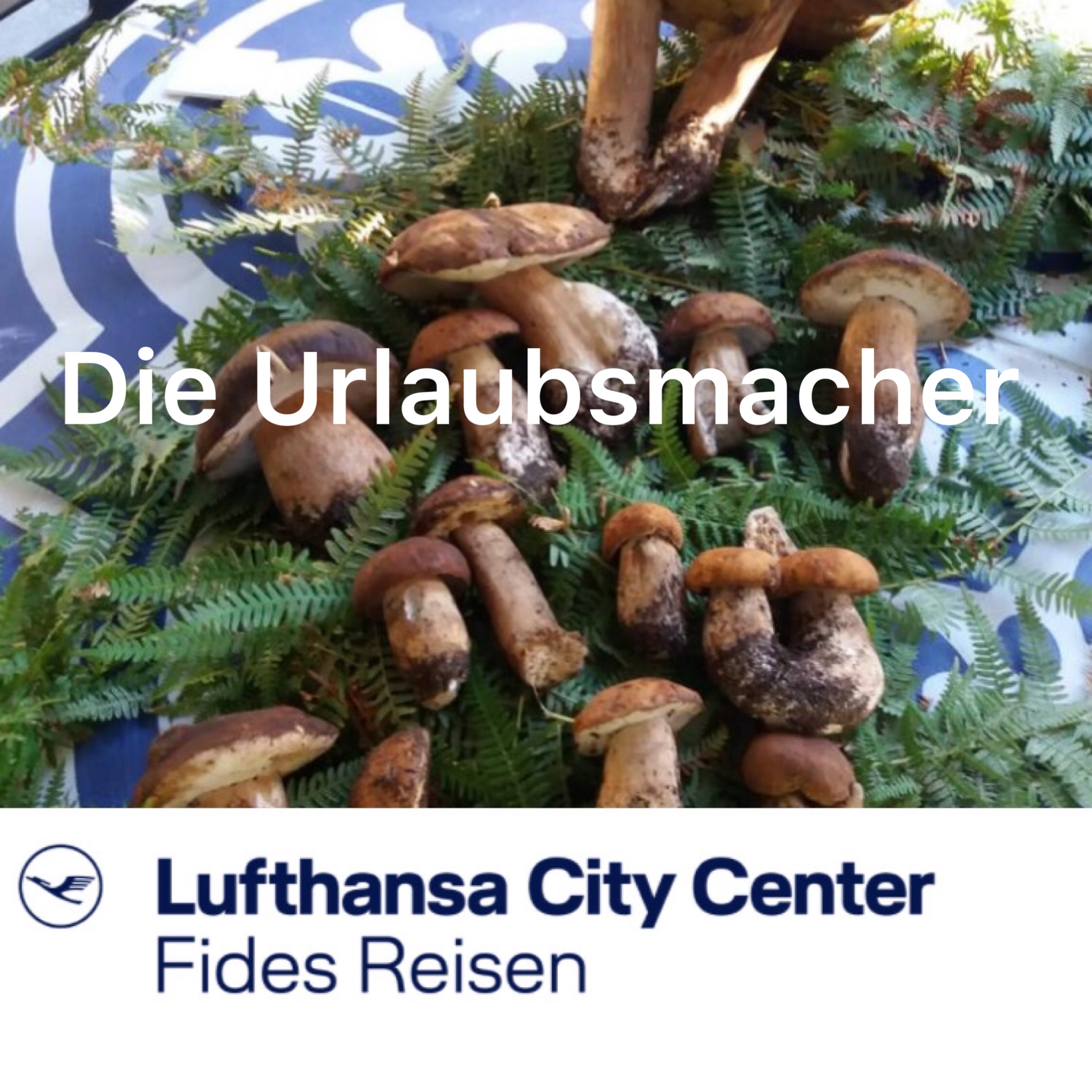 Reisepodcast Die Urlaubsmacher mit aussergewöhnlichen Reiseprofis von Fides Reisen