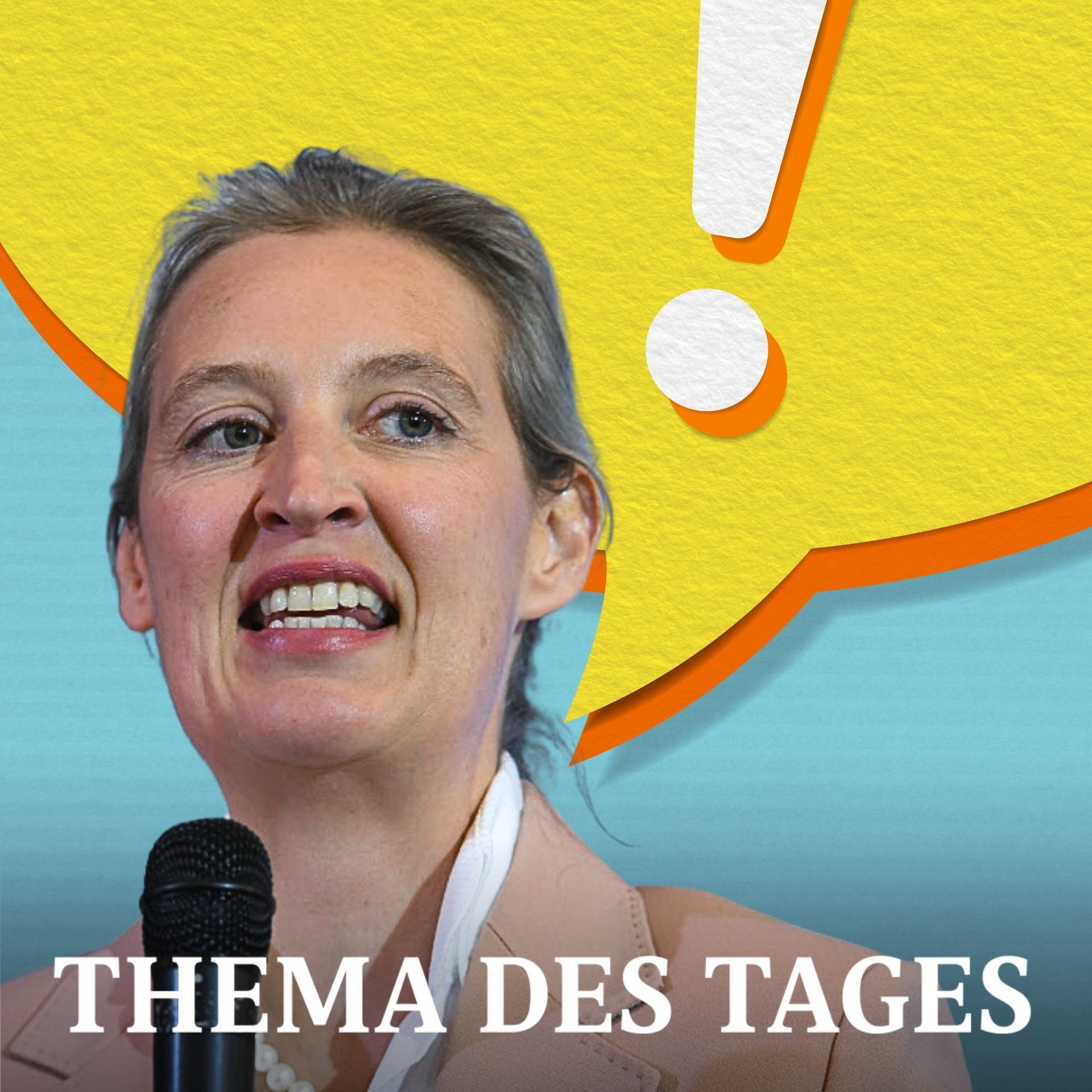 Was passiert, wenn die AfD regiert? | Justus Bender