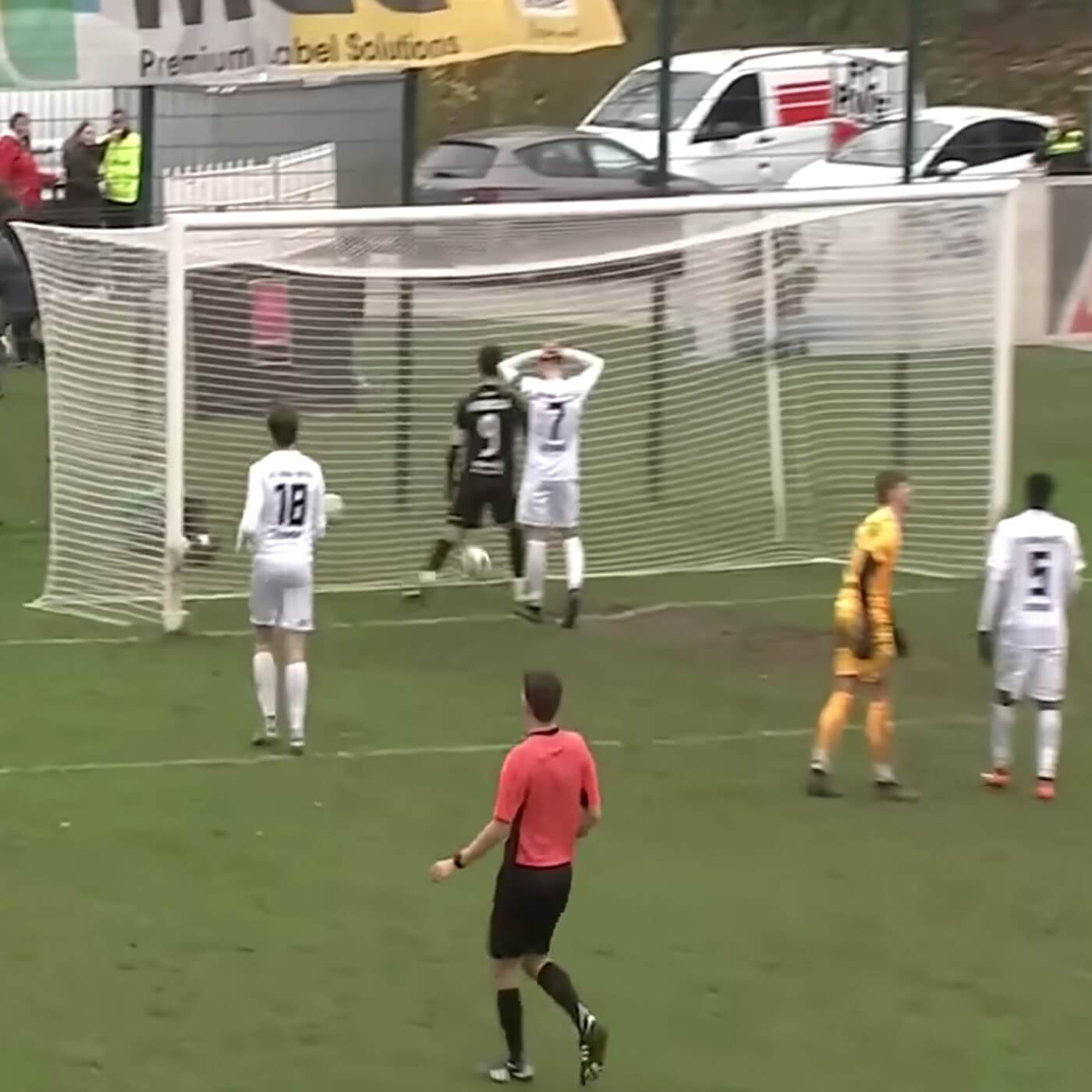 #116: Jeddeloh II #116: Jeddeloh II