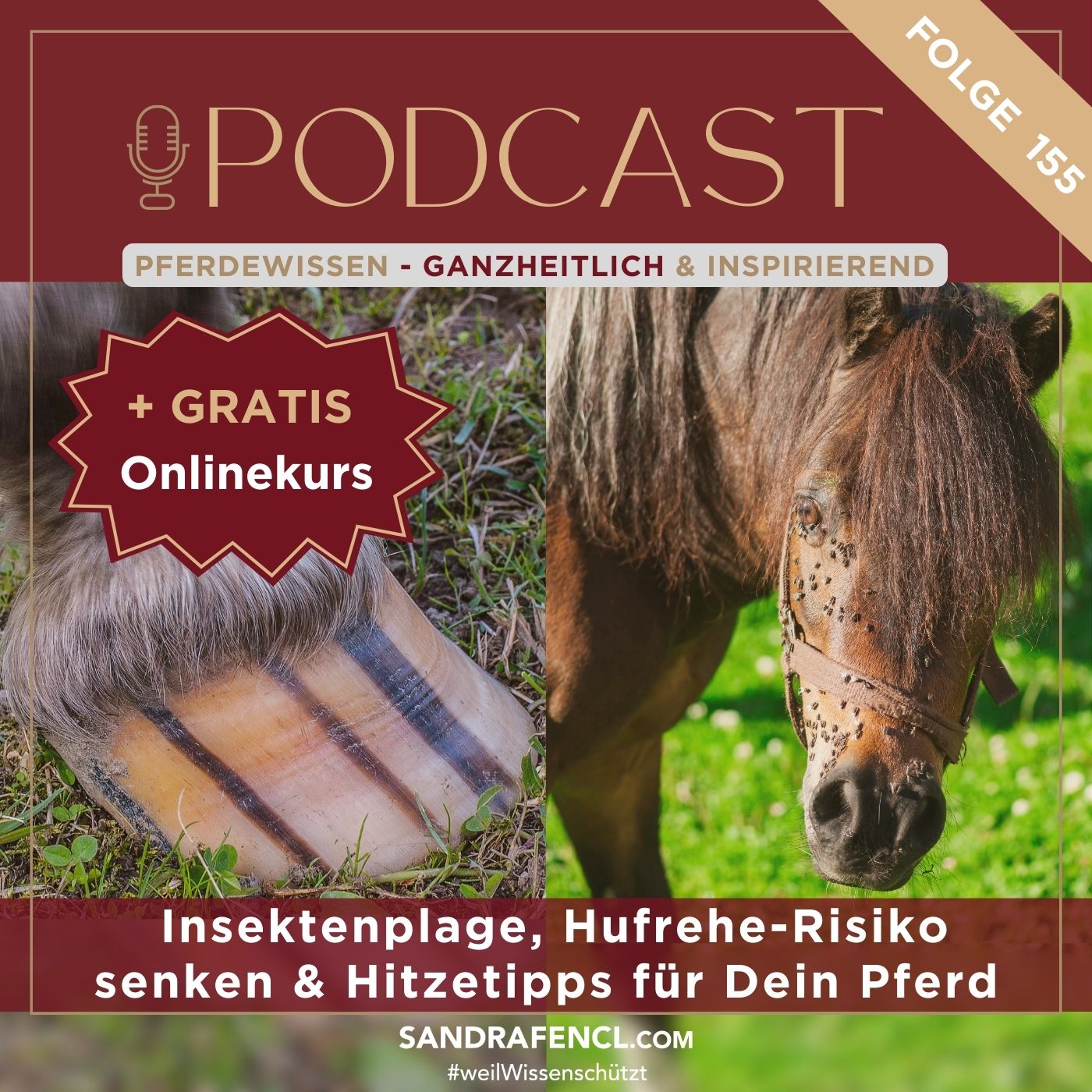 Pferdewissen - ganzheitlich & inspirierend mit Sandra Fencl