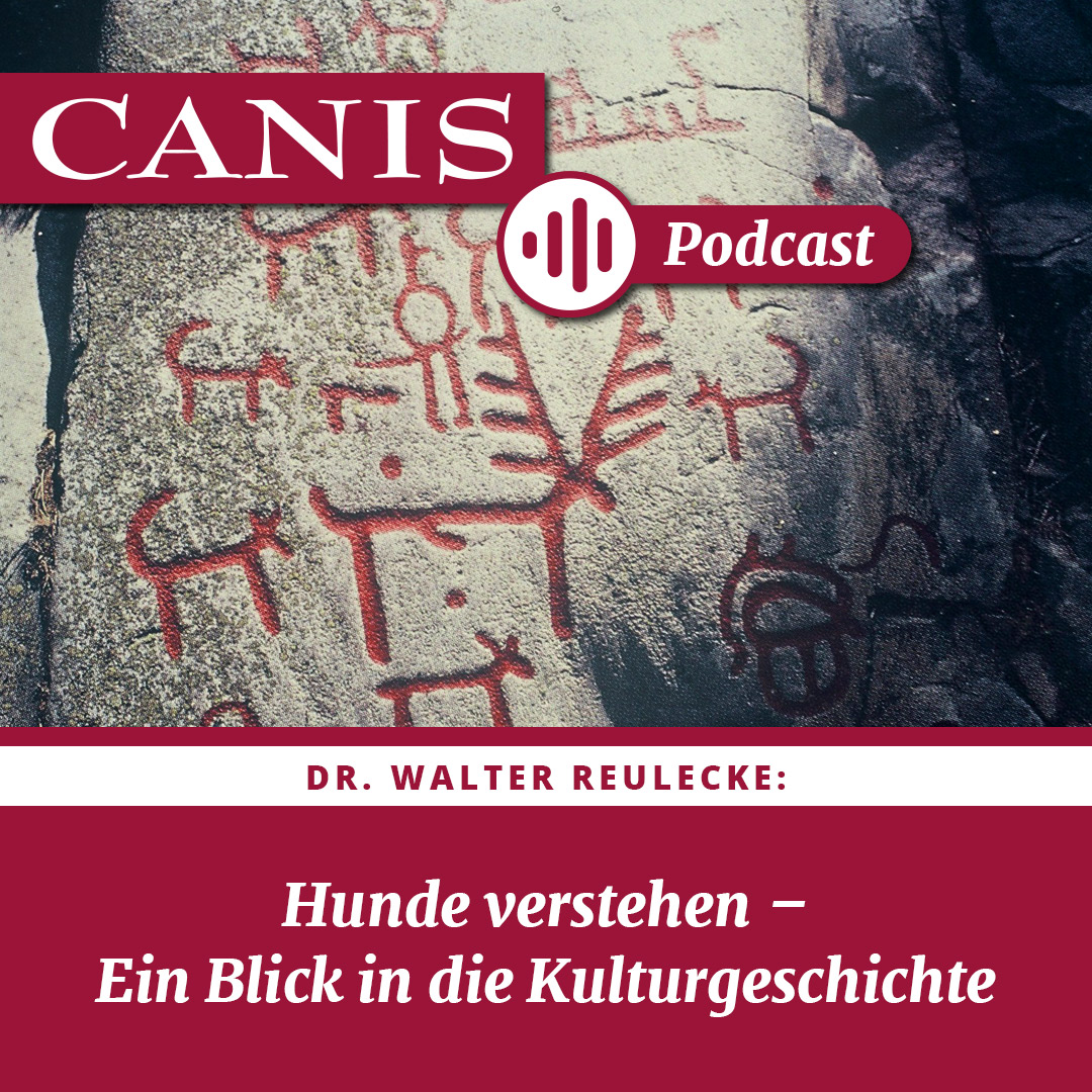 Der CANIS-Podcast – Hundeexpert:innen ausgefragt