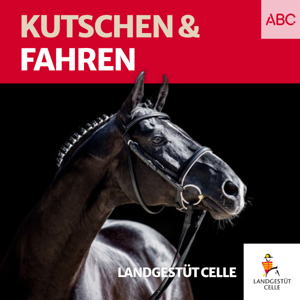 Landgestüt Celle - Der Podcast