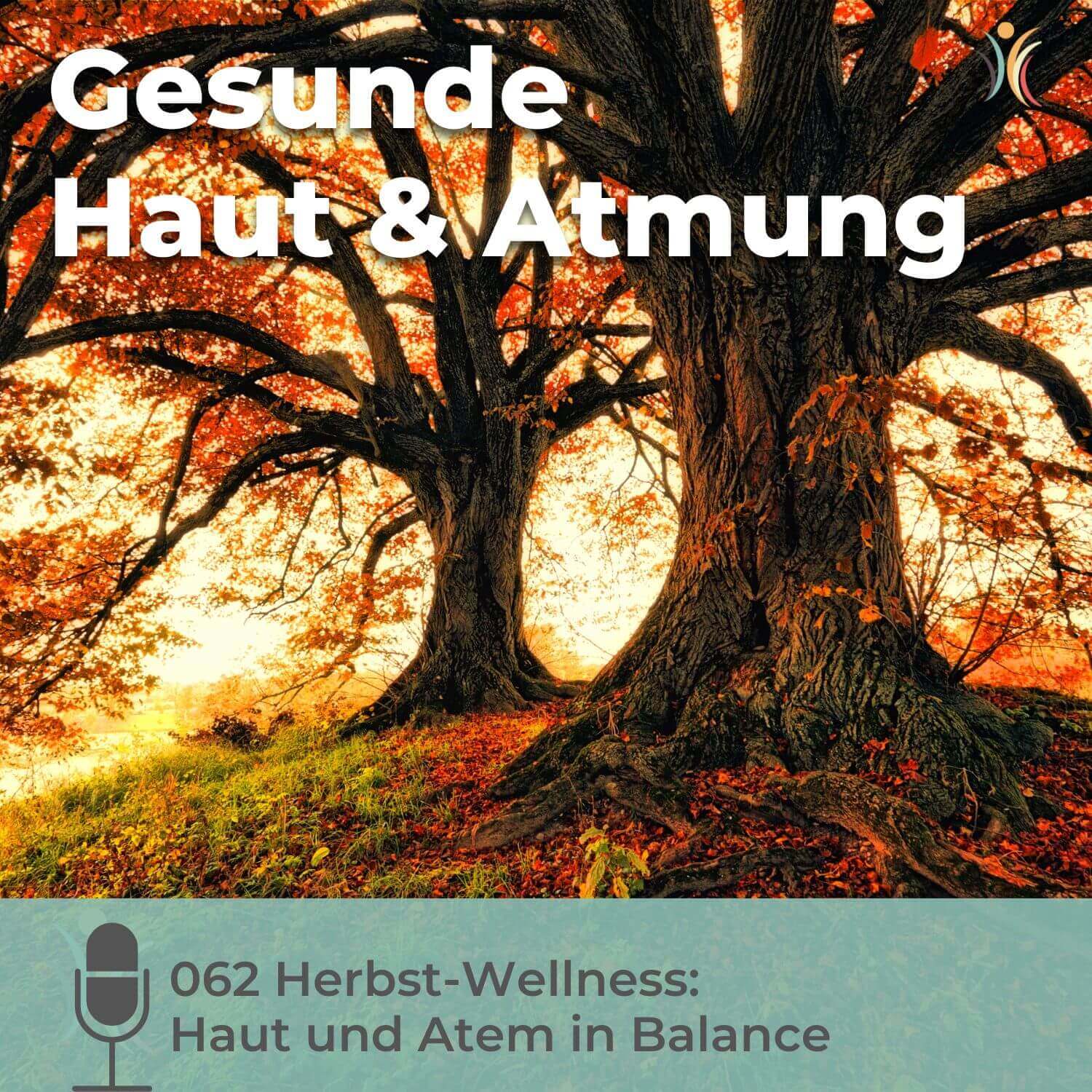 Wohlfühlzeiten – Dein Podcast für Balance und Selbstfürsorge