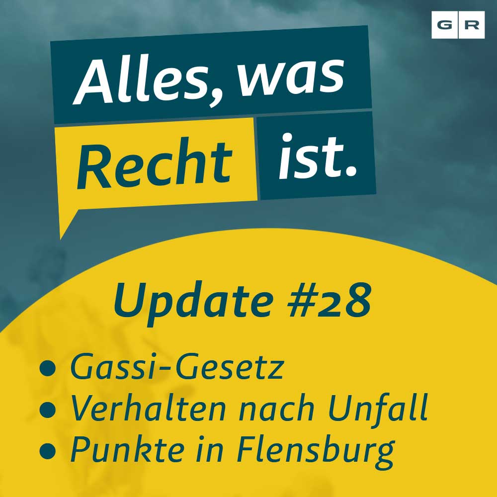 Update #28: Gassi-Gesetz, Verhalten nach Unfall & Punkte in Flensburg