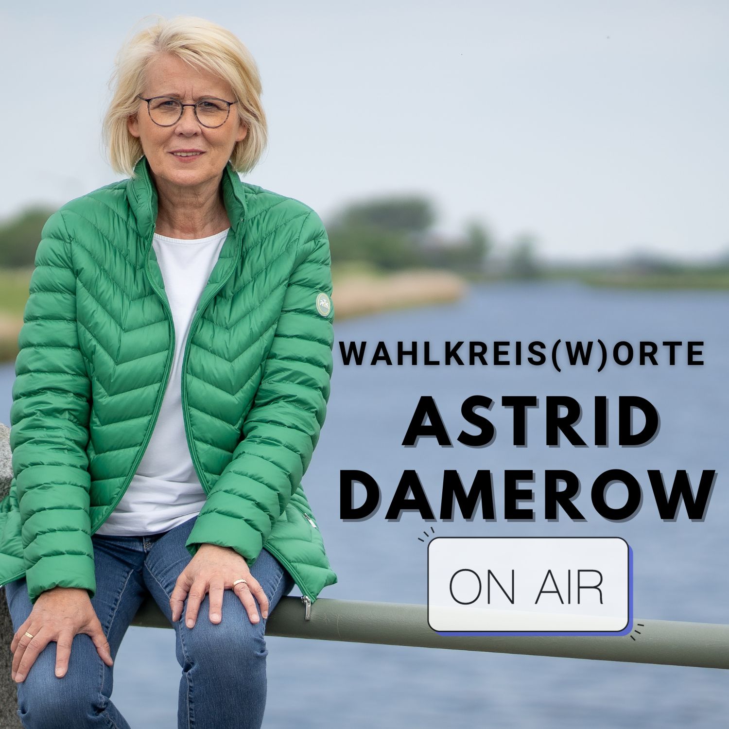 Wahlkreis(w)orte: Der Polit-Podcast mit Astrid Damerow podcast artwork
