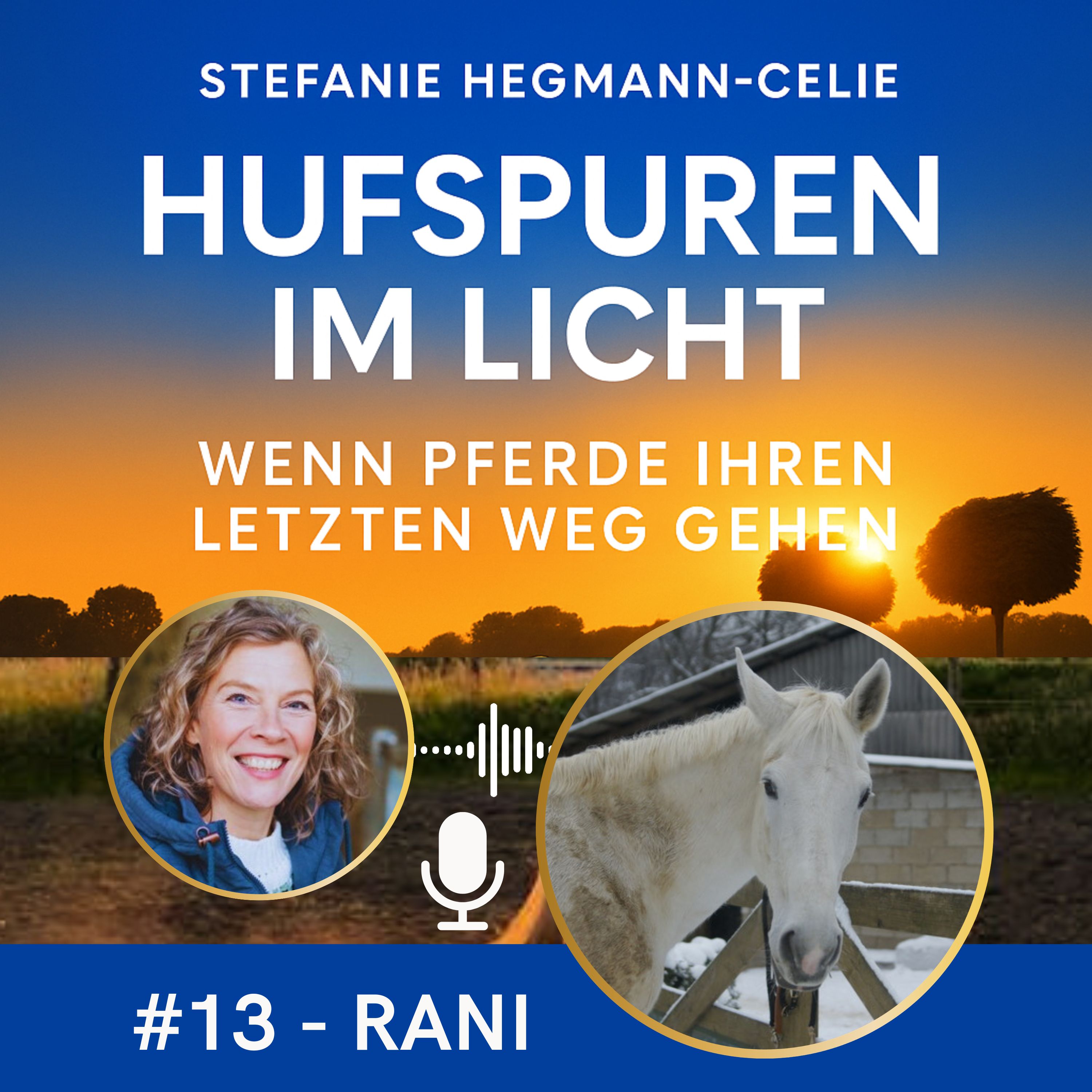 #13 - Rani: Ein Abschied in Würde episode artwork