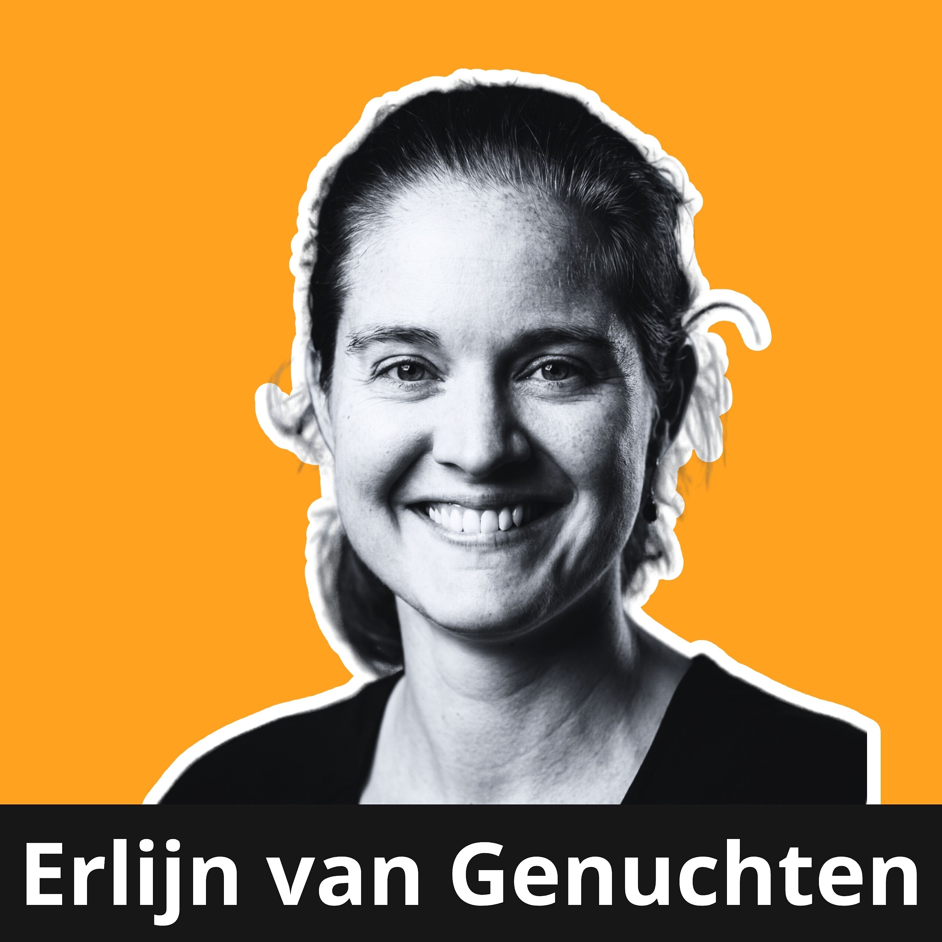 Software Testing & Qualität - Testautomatisierung, KI & Agilität