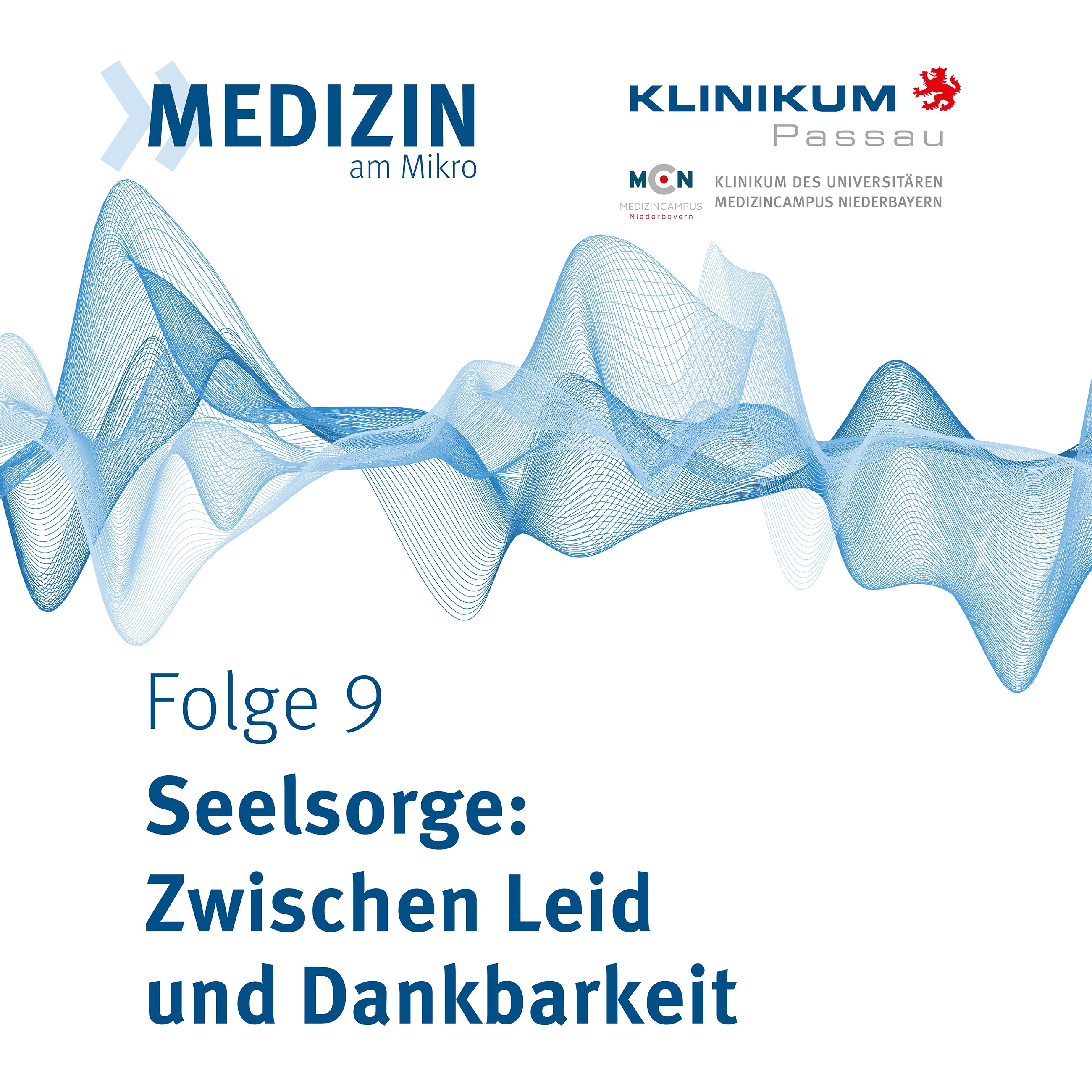 Seelsorge: Zwischen Leid und Dankbarkeit episode artwork