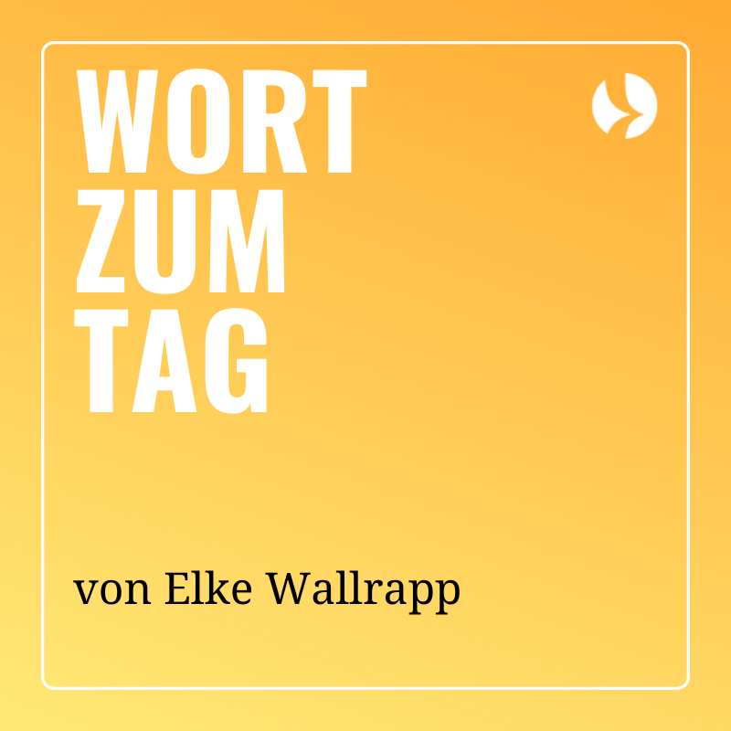 Gehirnfreundlichkeit episode artwork