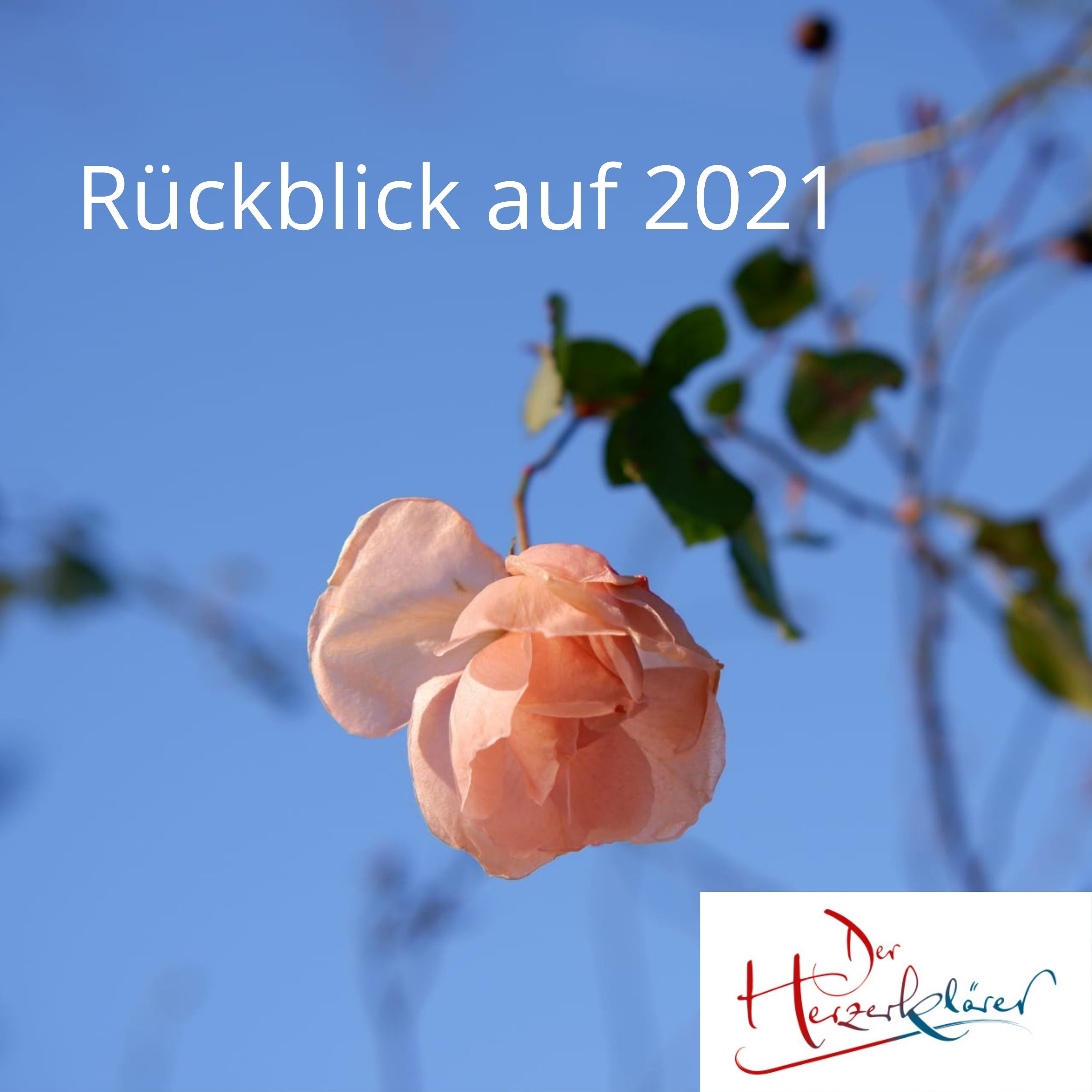 Der Herzerklärer